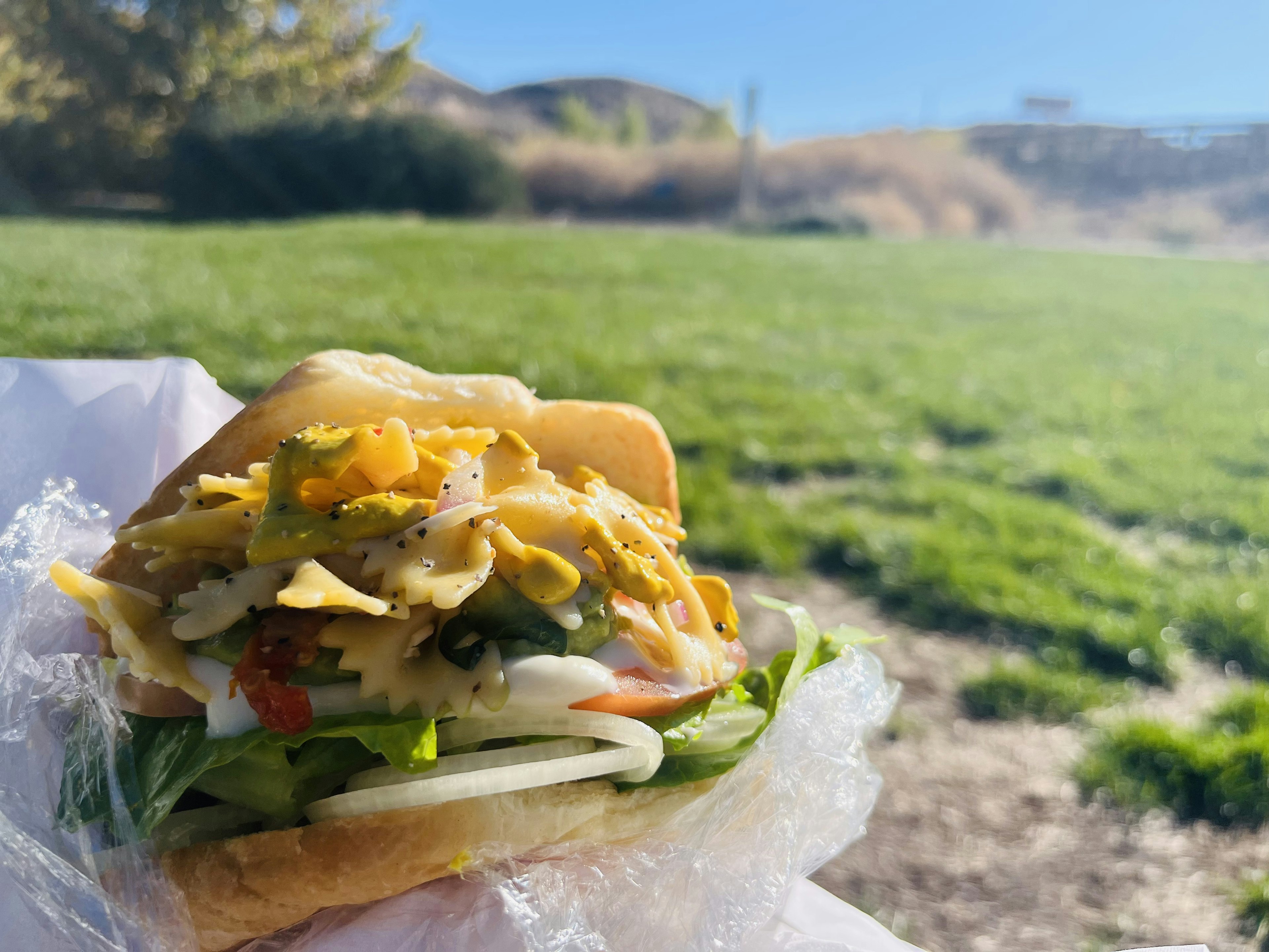 A sandwich filled with various fresh ingredients in a park setting