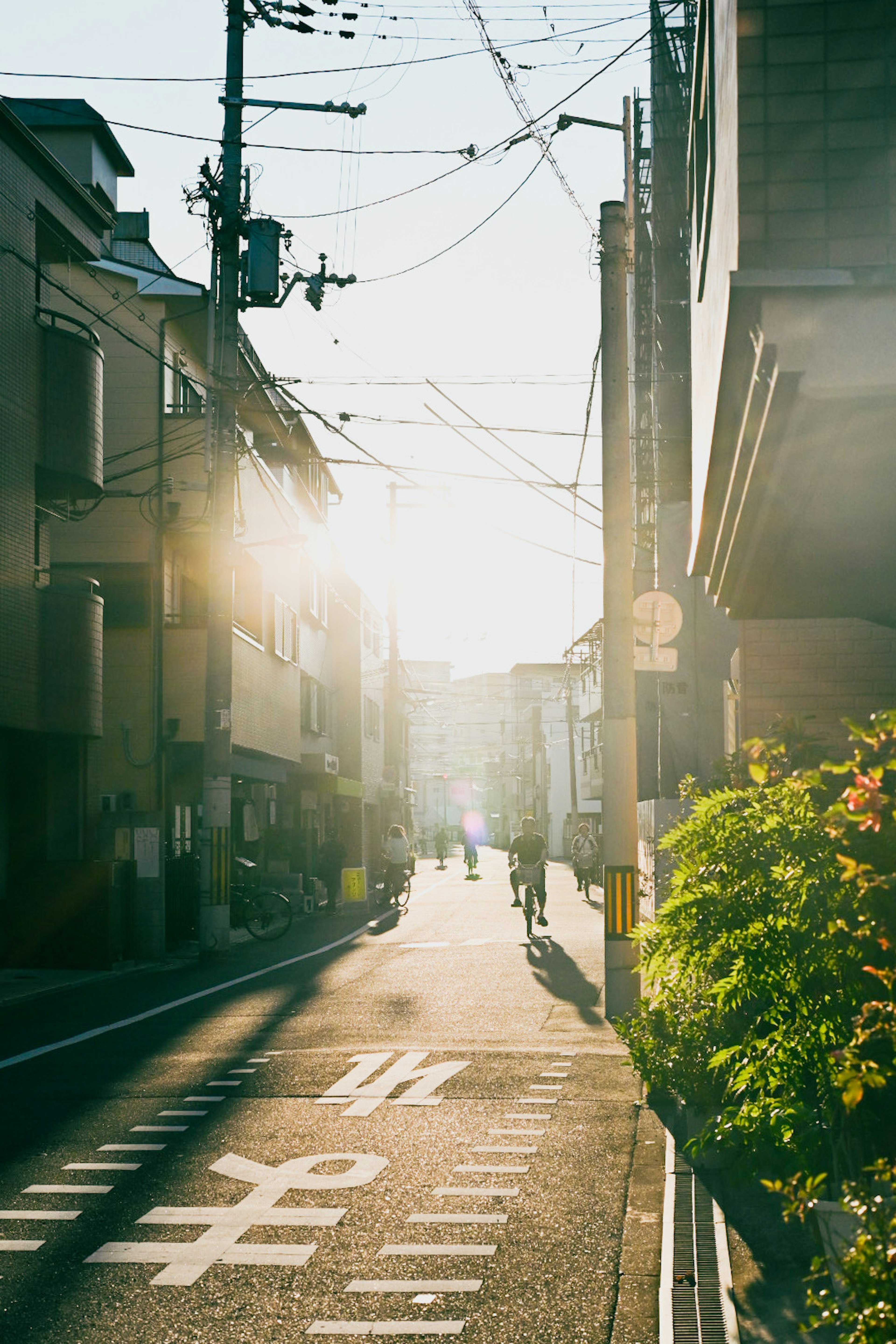 Une scène de rue avec un coucher de soleil brillant et des lignes électriques