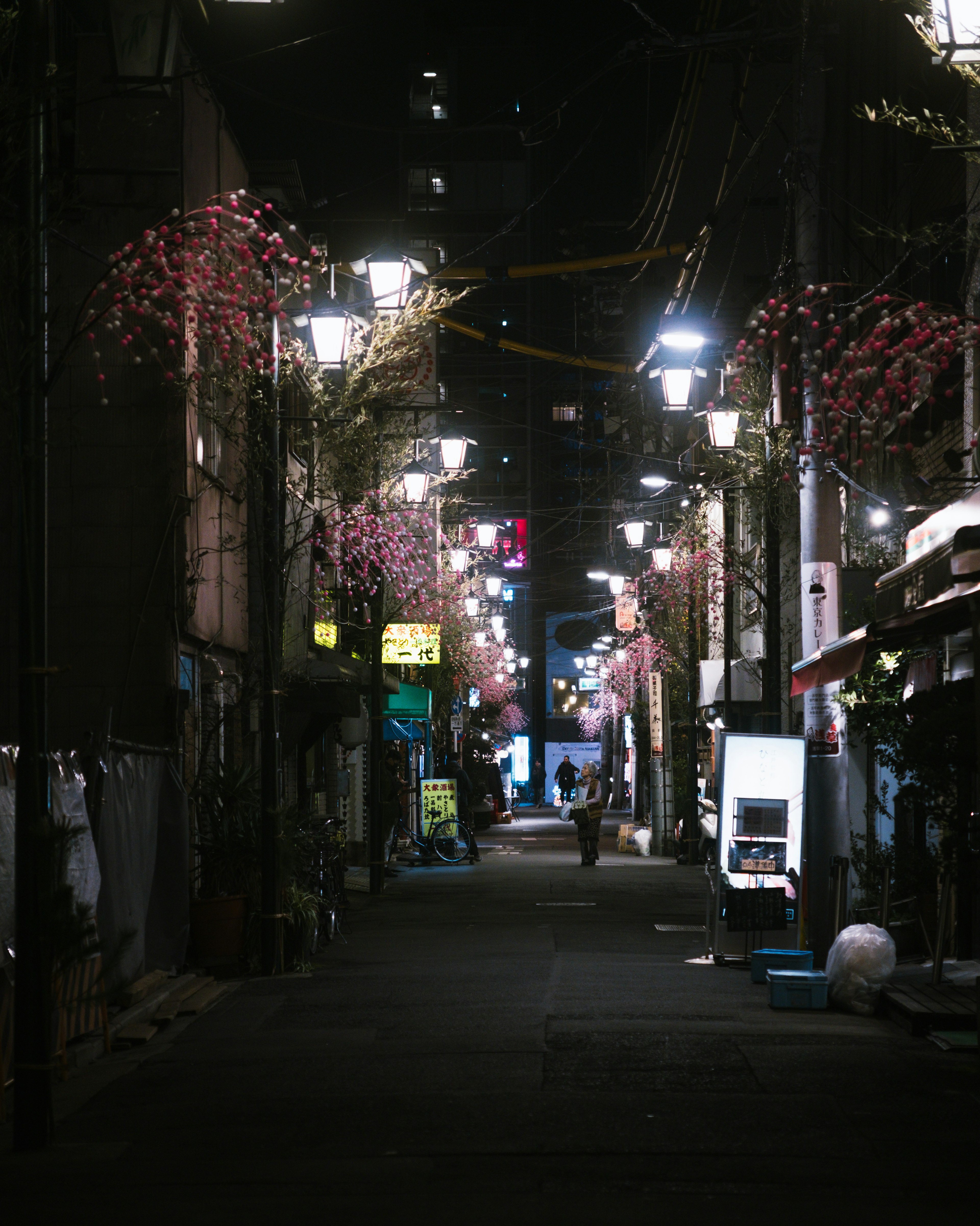 Narrow street illuminated by lamps at night with floral decorations