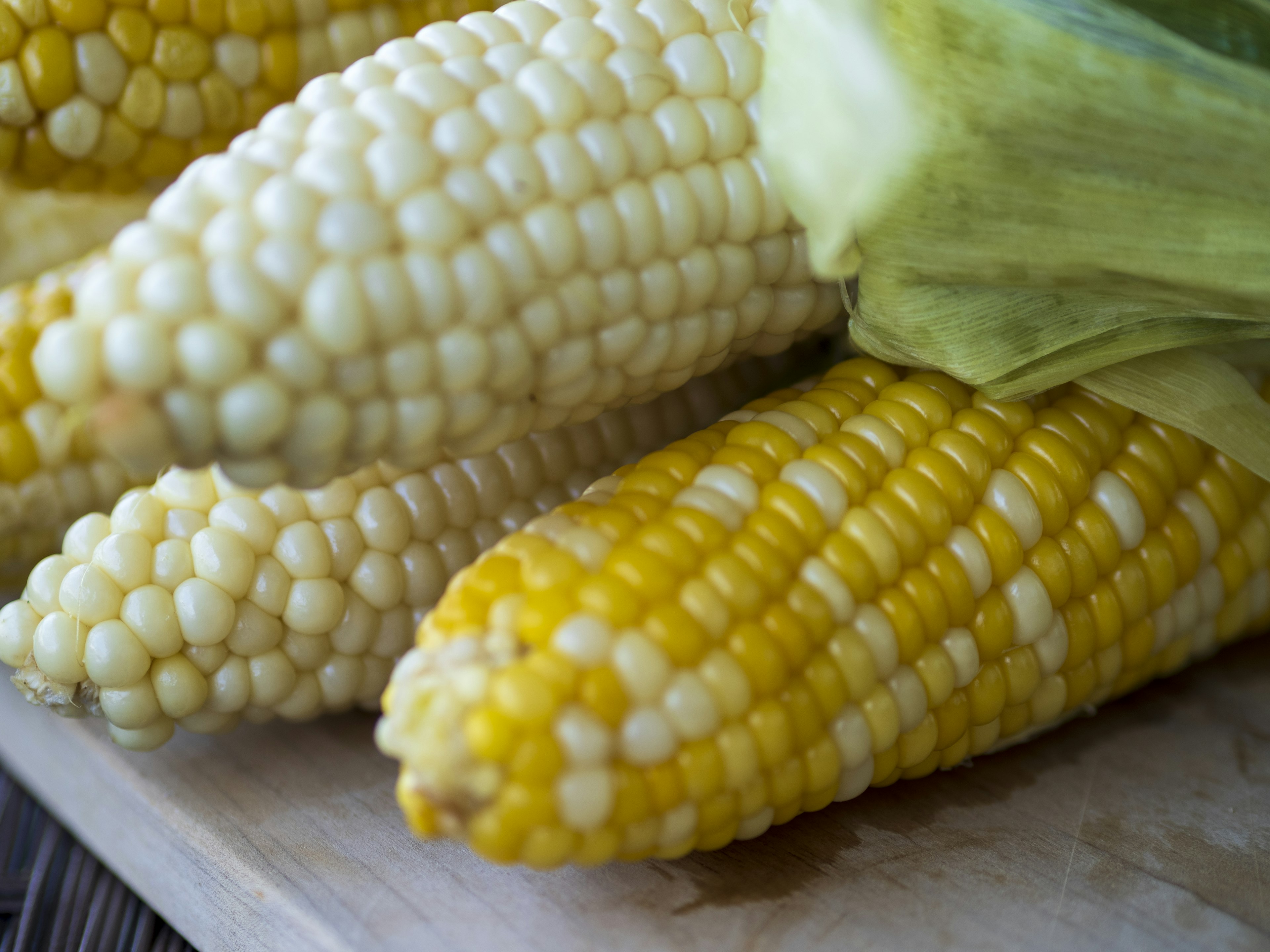 Fresh corn cobs displayed on a wooden surface