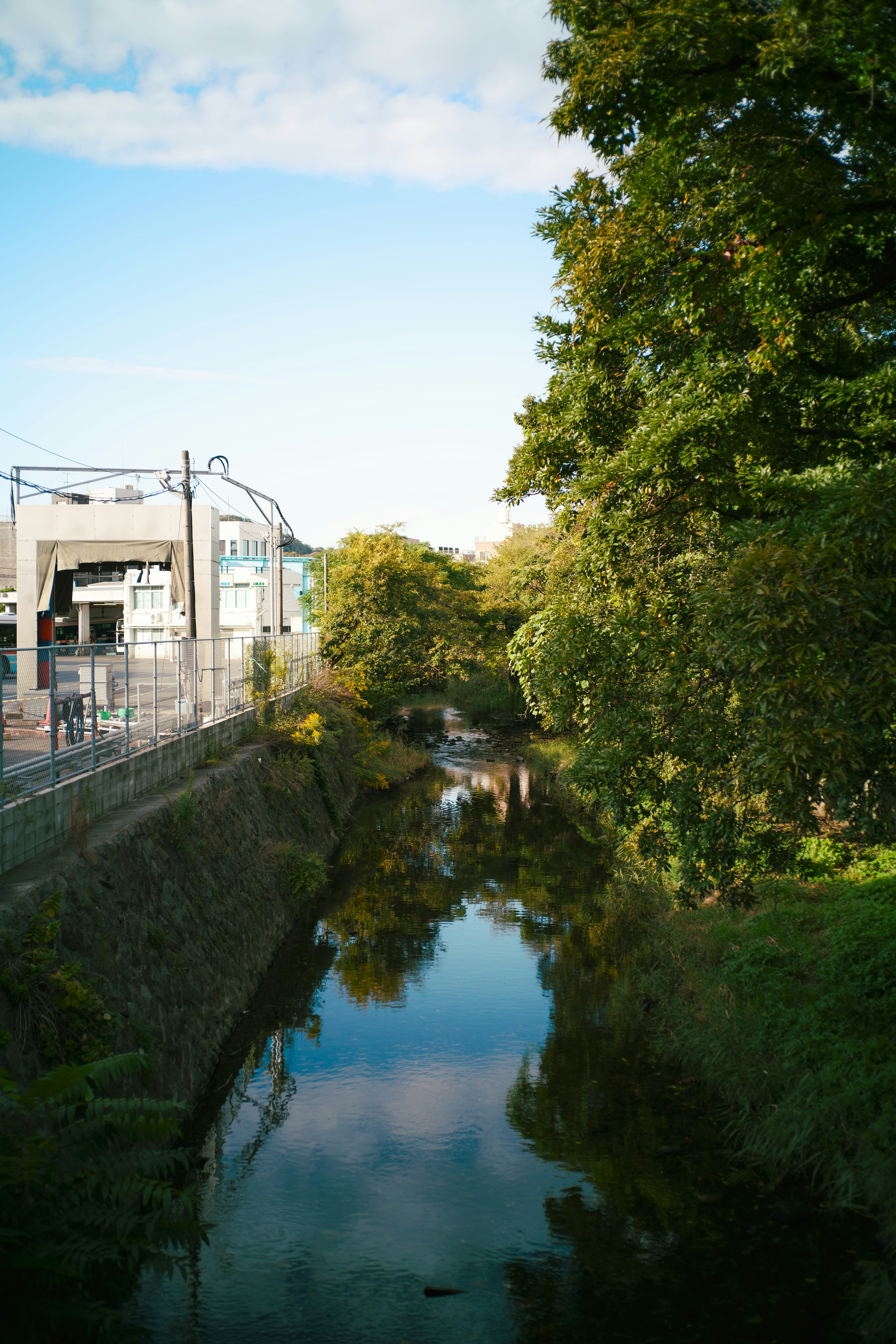 Vista panoramica di un fiume che riflette alberi e edifici