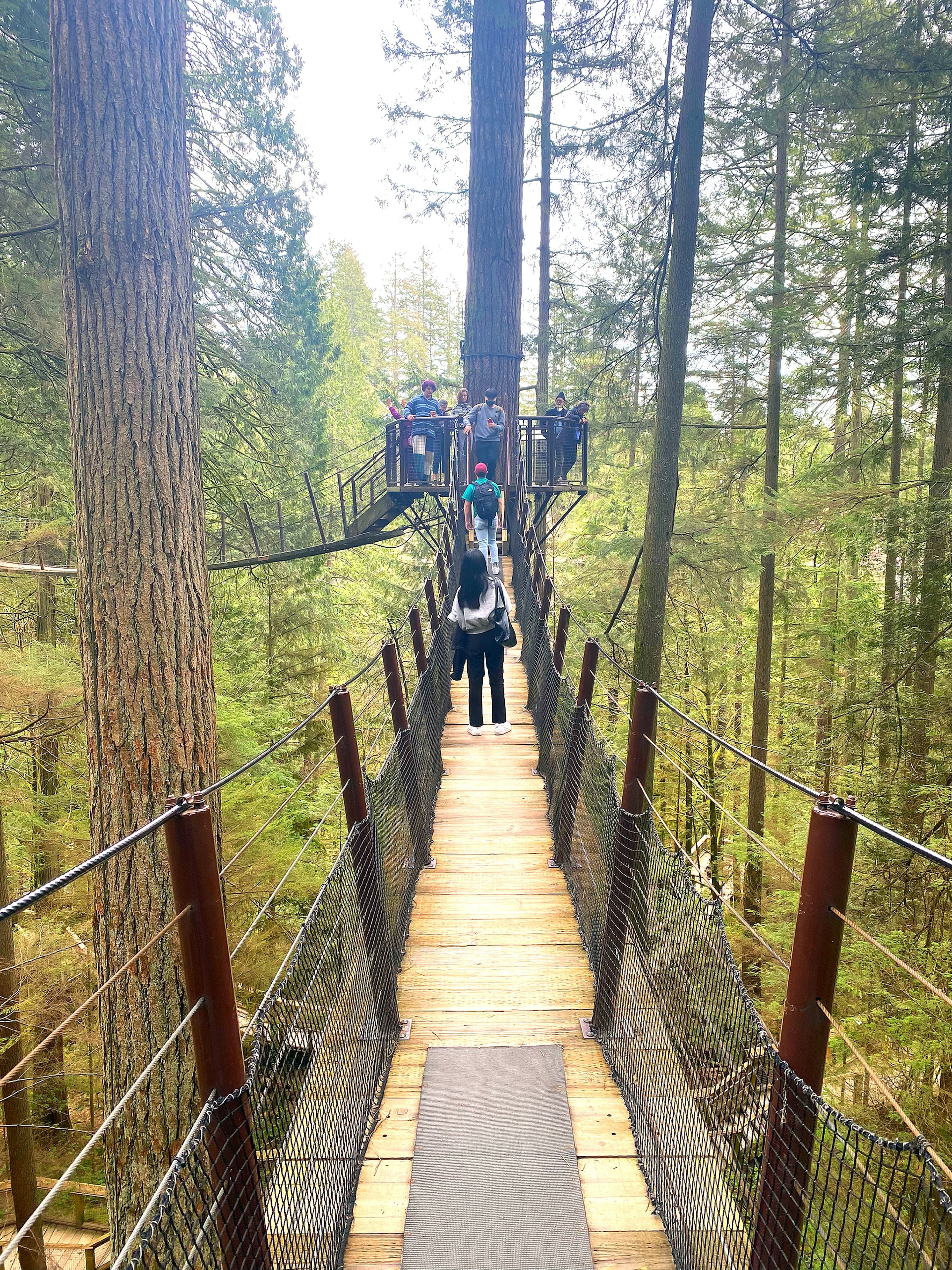 A scene of people crossing a suspension bridge in a forest featuring a wooden walkway and tall trees