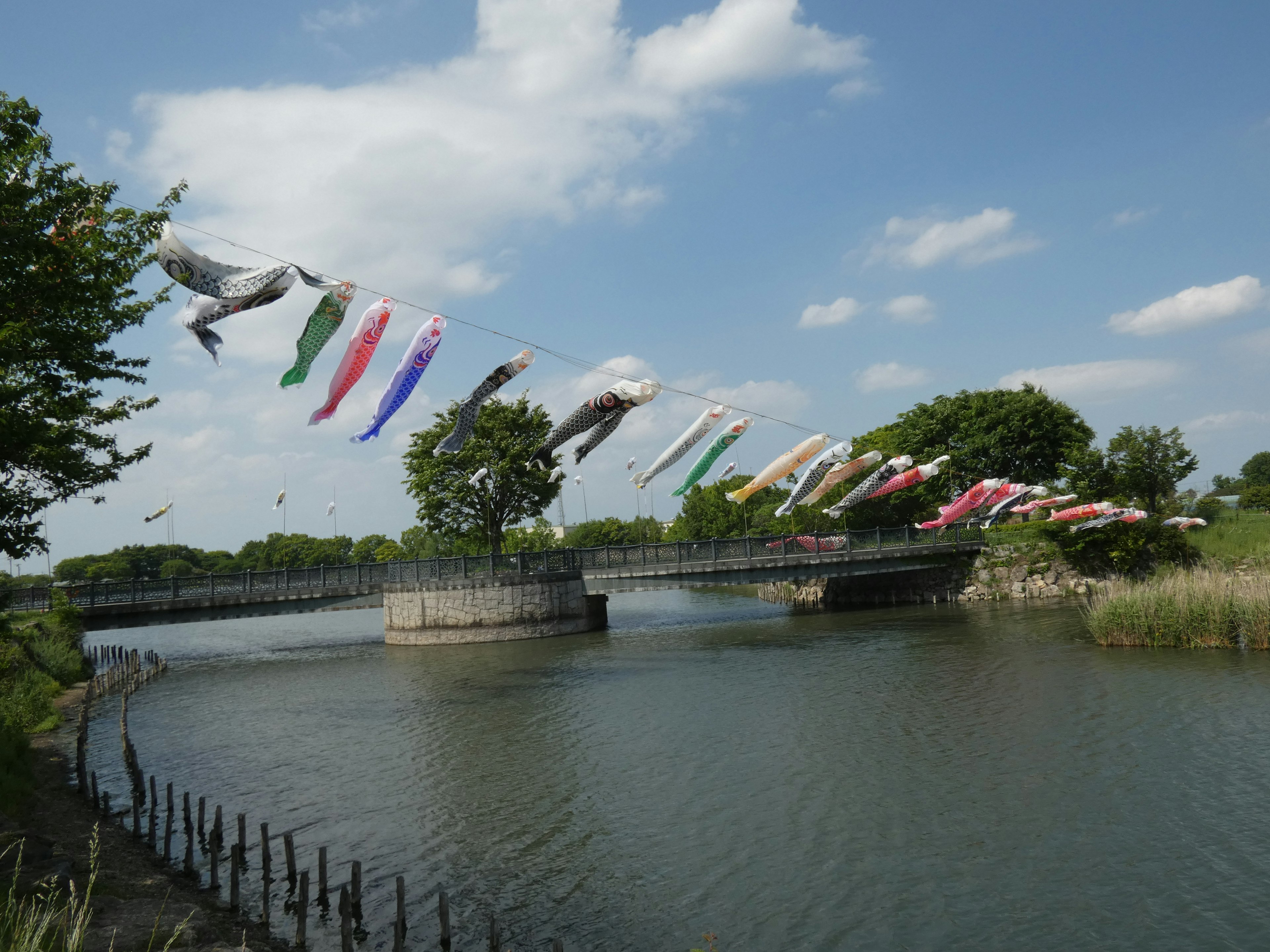 Bunte Koi-Flaggen, die über einem Fluss unter einem blauen Himmel wehen