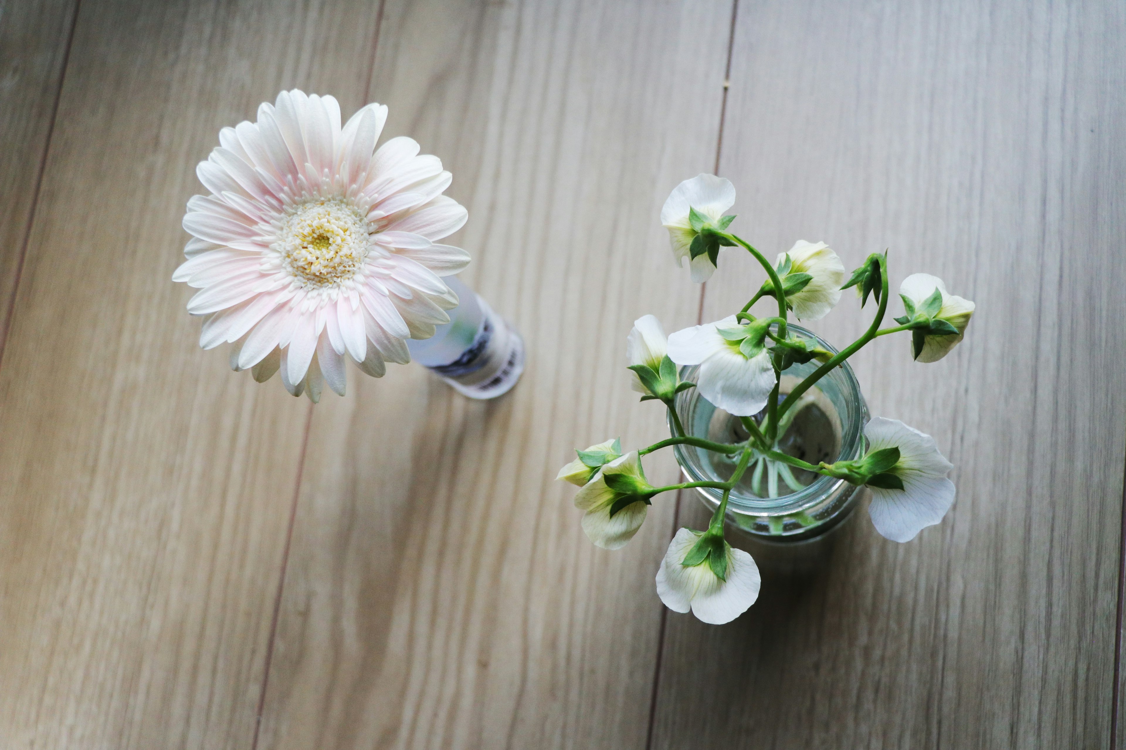 Une marguerite gerbera rose et un petit bouquet de fleurs blanches dans des vases en verre sur un sol en bois