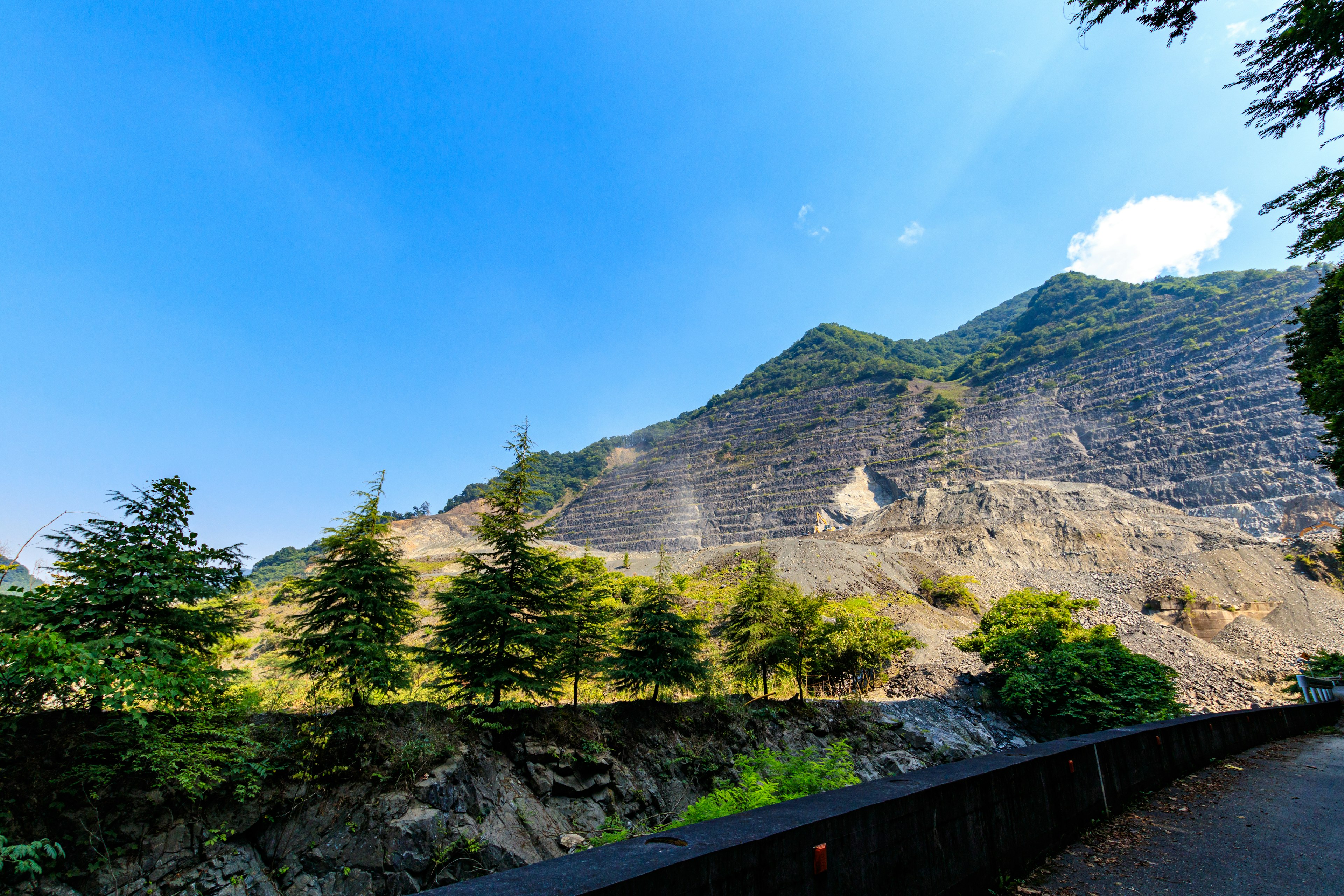 Vue pittoresque des montagnes sous un ciel bleu avec des arbres verts bordant la route