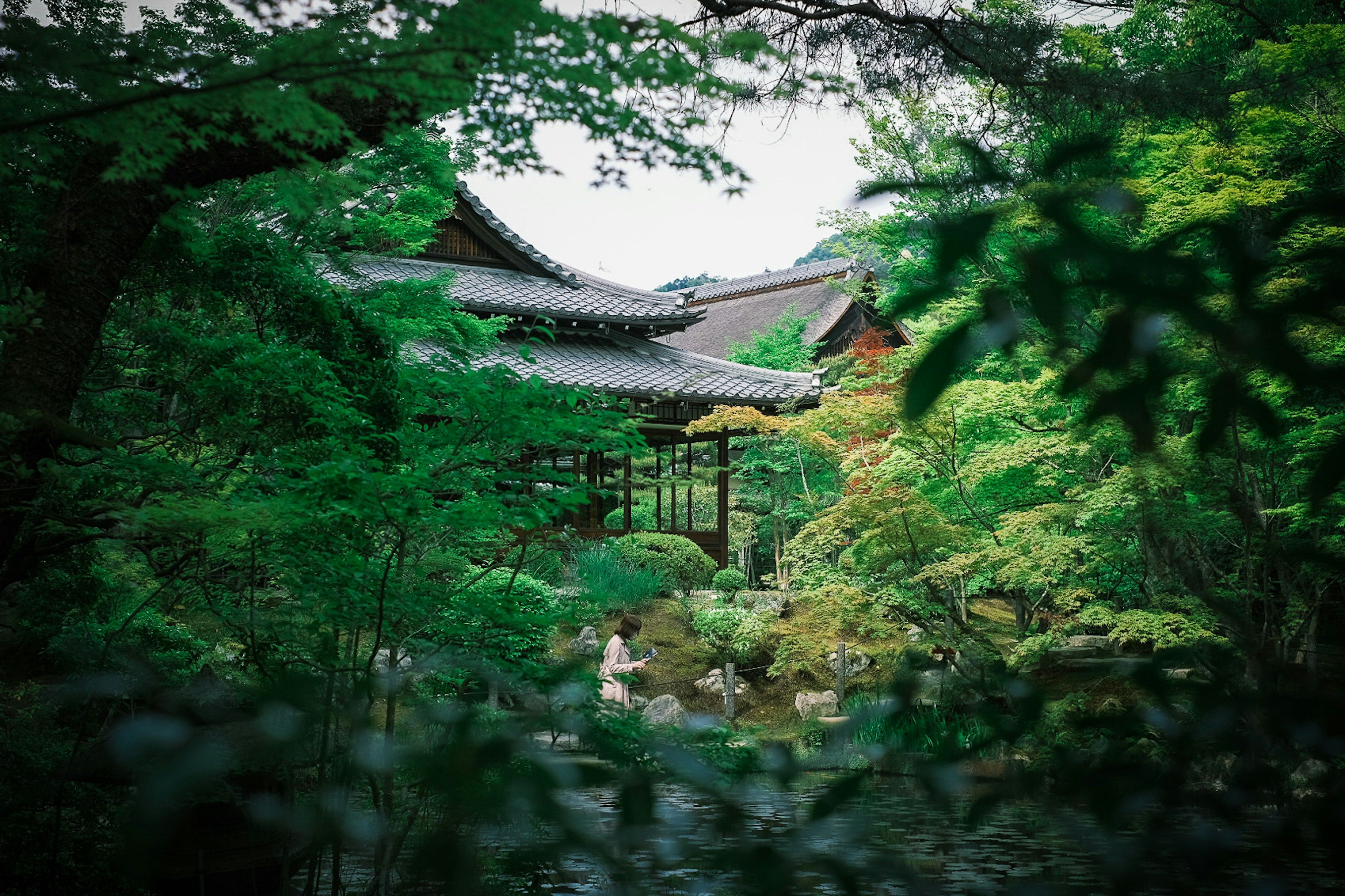 被郁郁蔥蔥的花園環繞的傳統日本建築