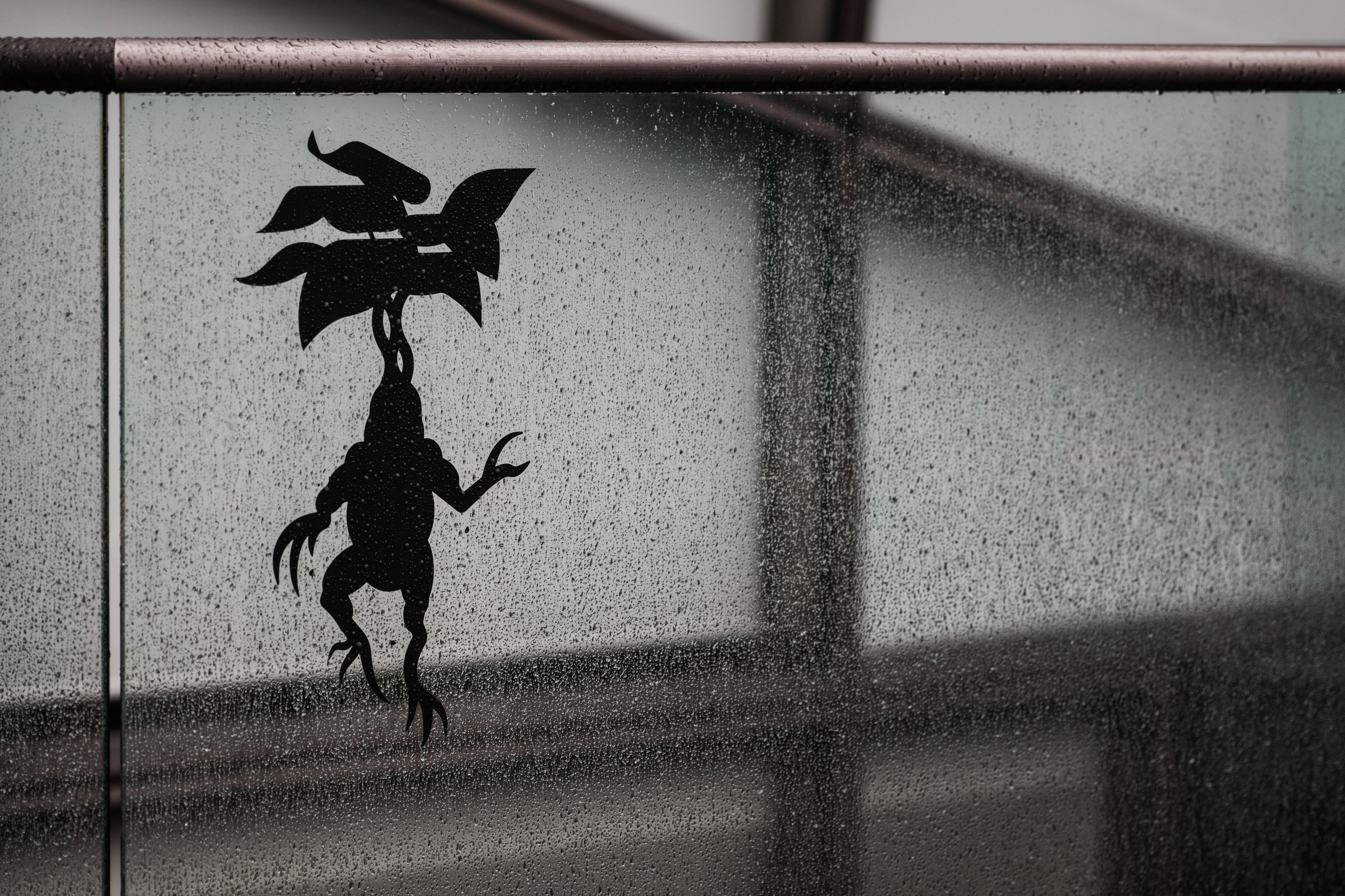 A silhouette of a frog on wet glass with a blurred background