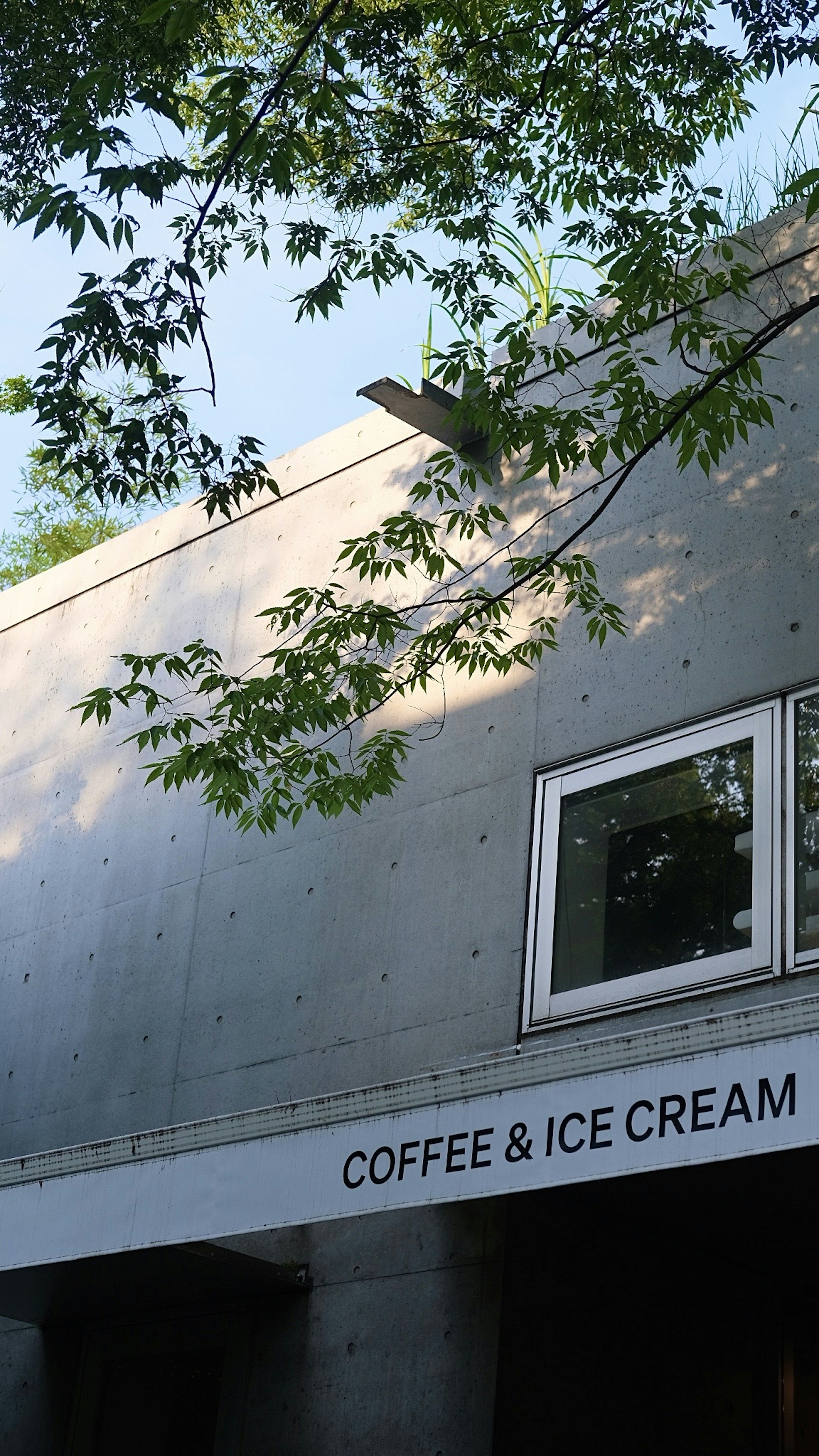 Vista exterior de una cafetería con pared de concreto y un letrero que dice Café y Helado