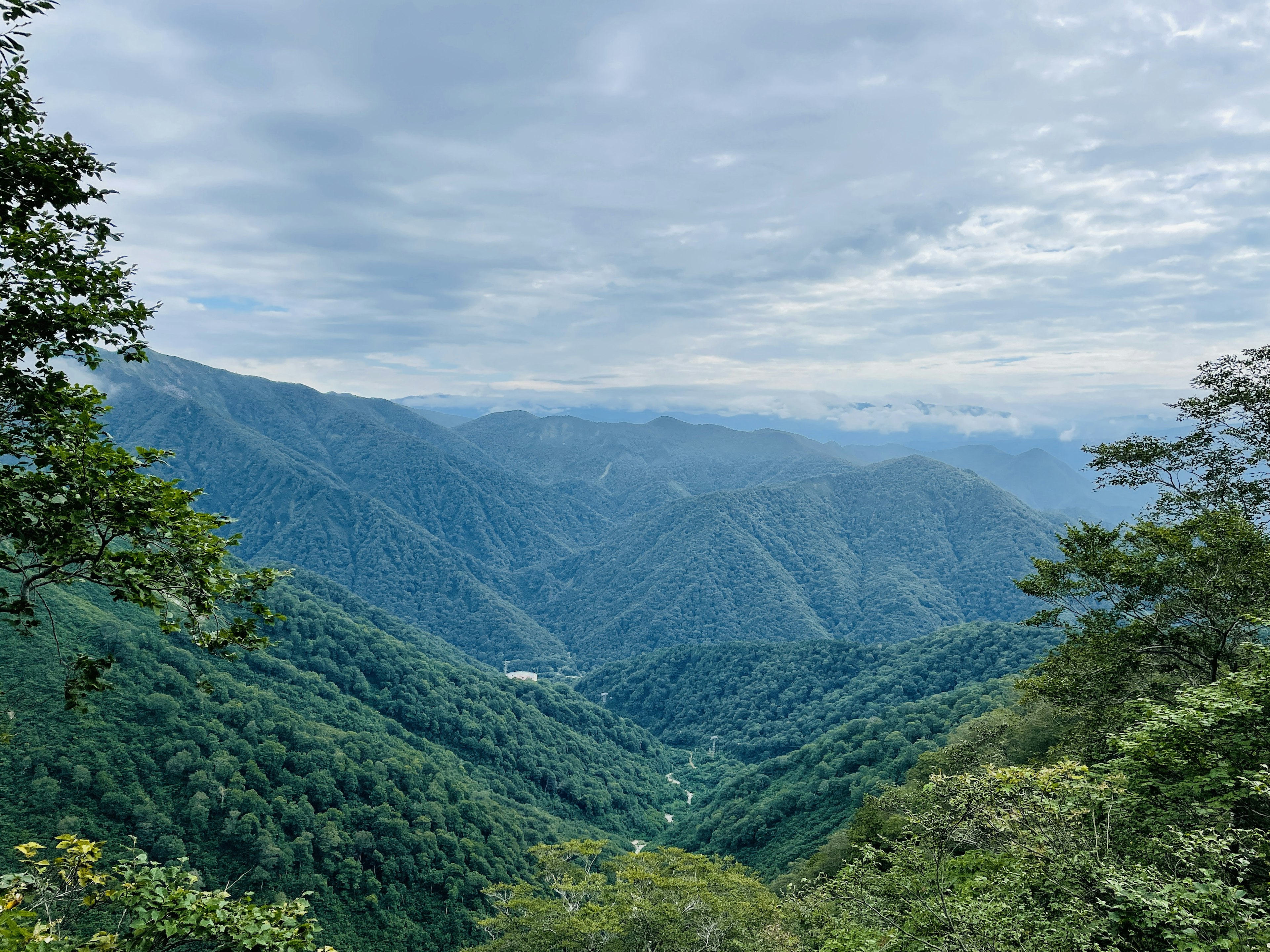 郁郁蔥蔥的山脈和谷地的全景