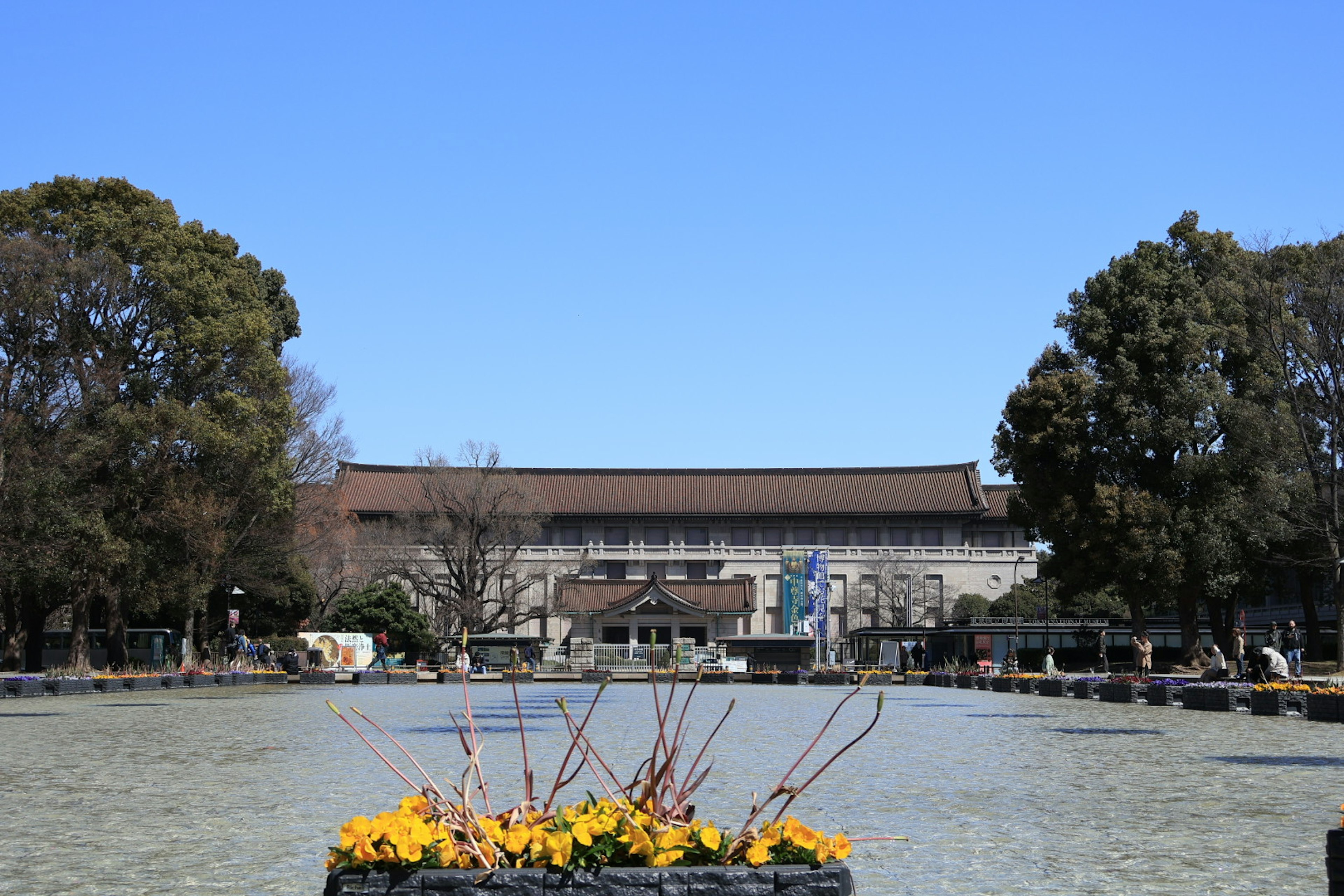 池の前にある建物と黄色い花が見える晴れた日