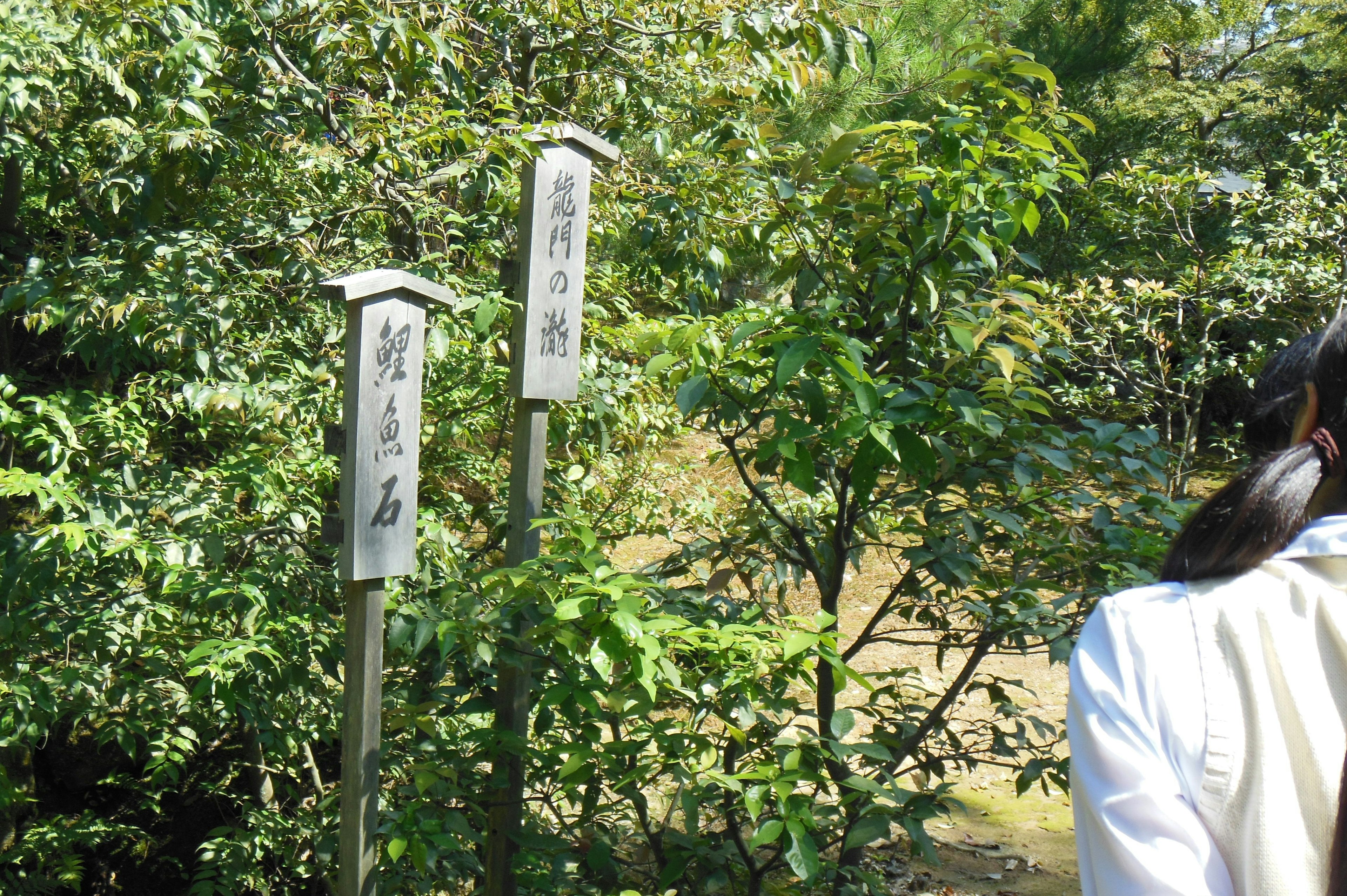 Two Japanese signs standing amidst lush greenery