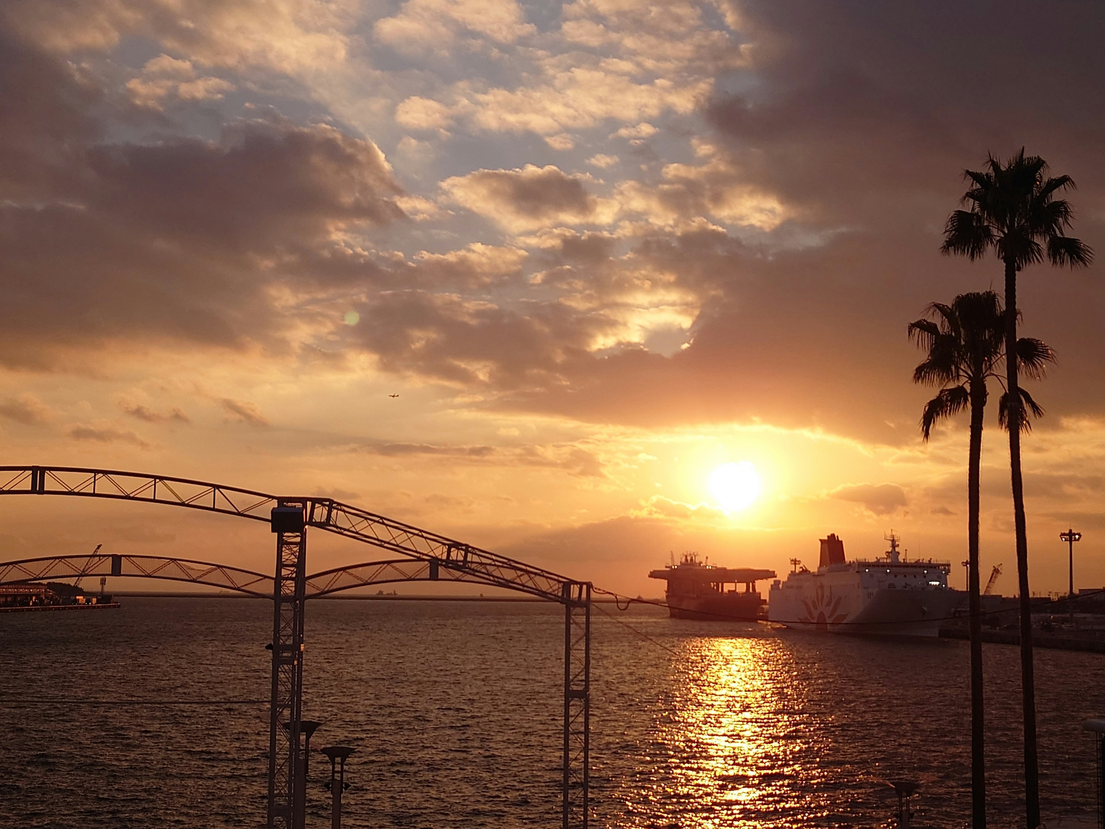 海上日落的美丽风景 有棕榈树和一艘船