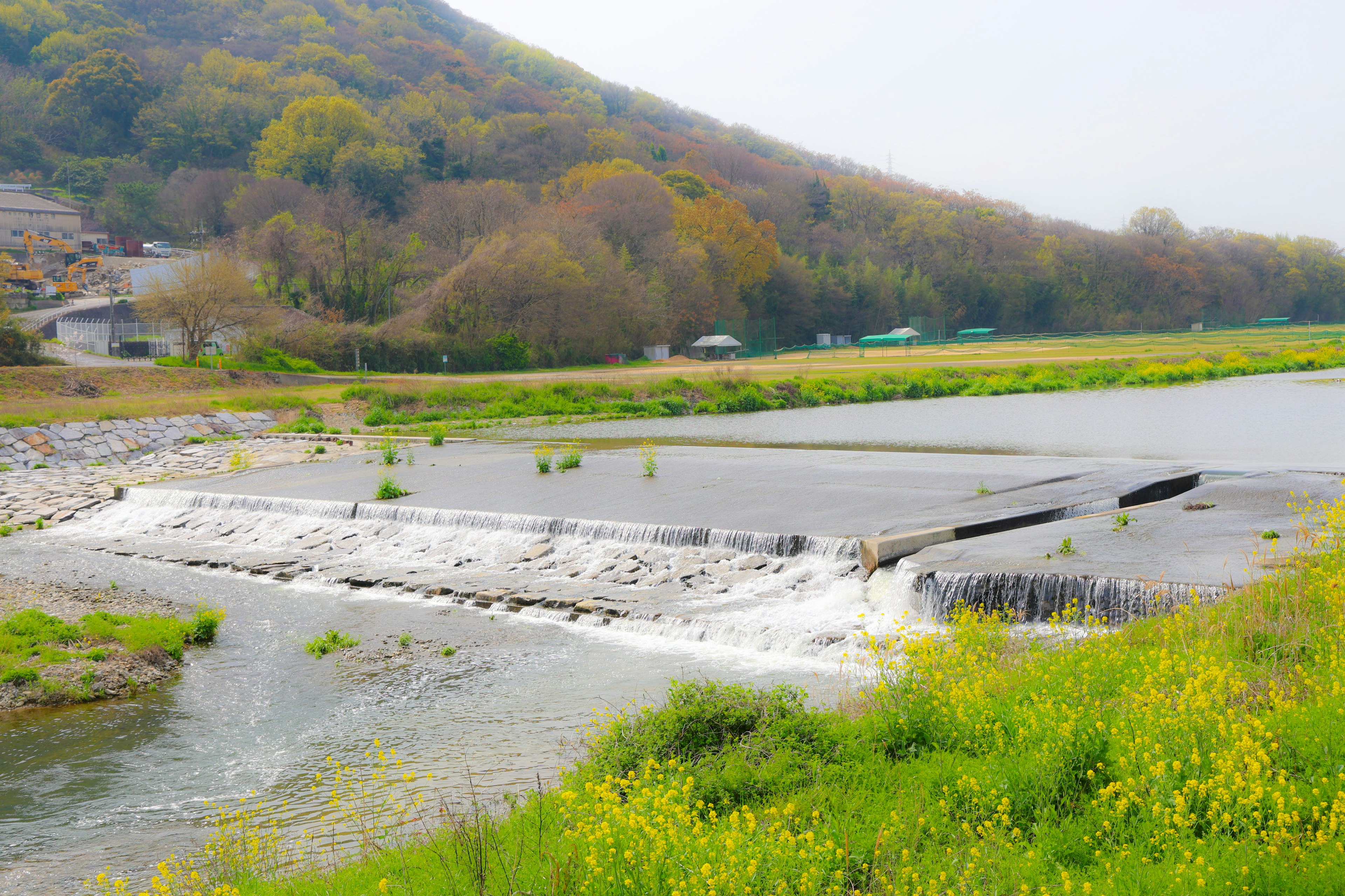 Río que fluye con una pequeña represa y vegetación exuberante