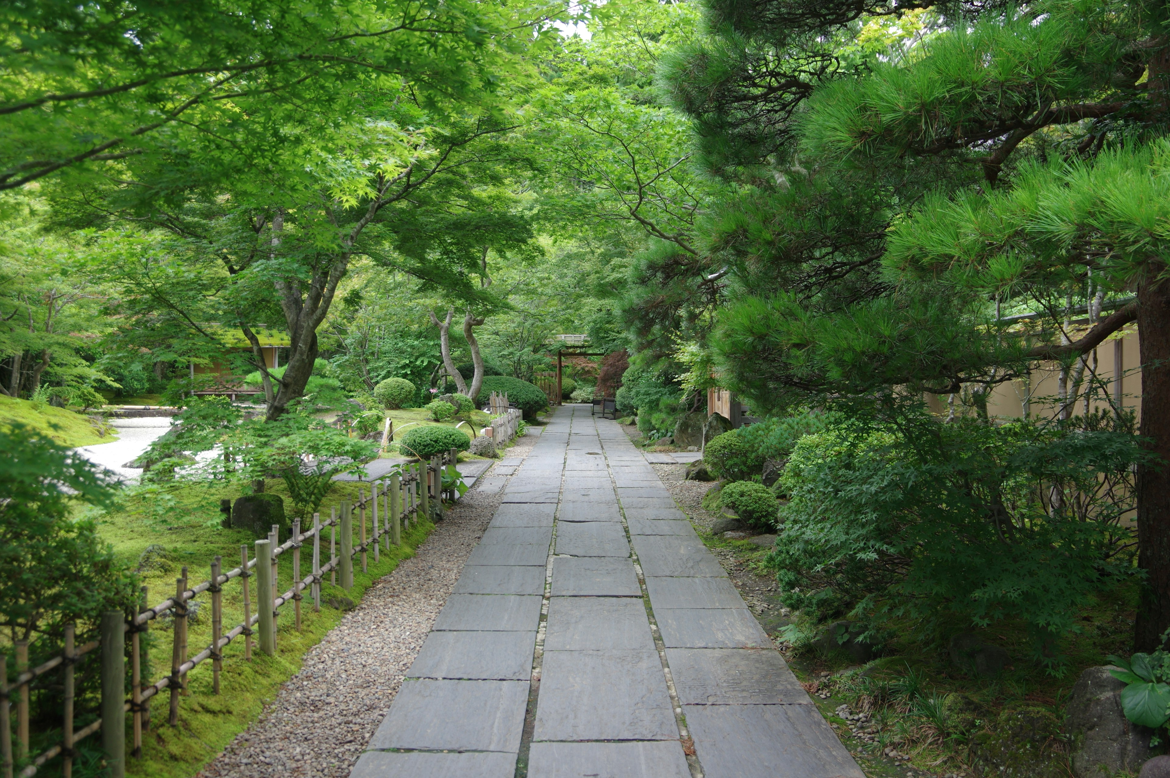 宁静的日本庭园小路，两旁环绕着绿色植物和石板