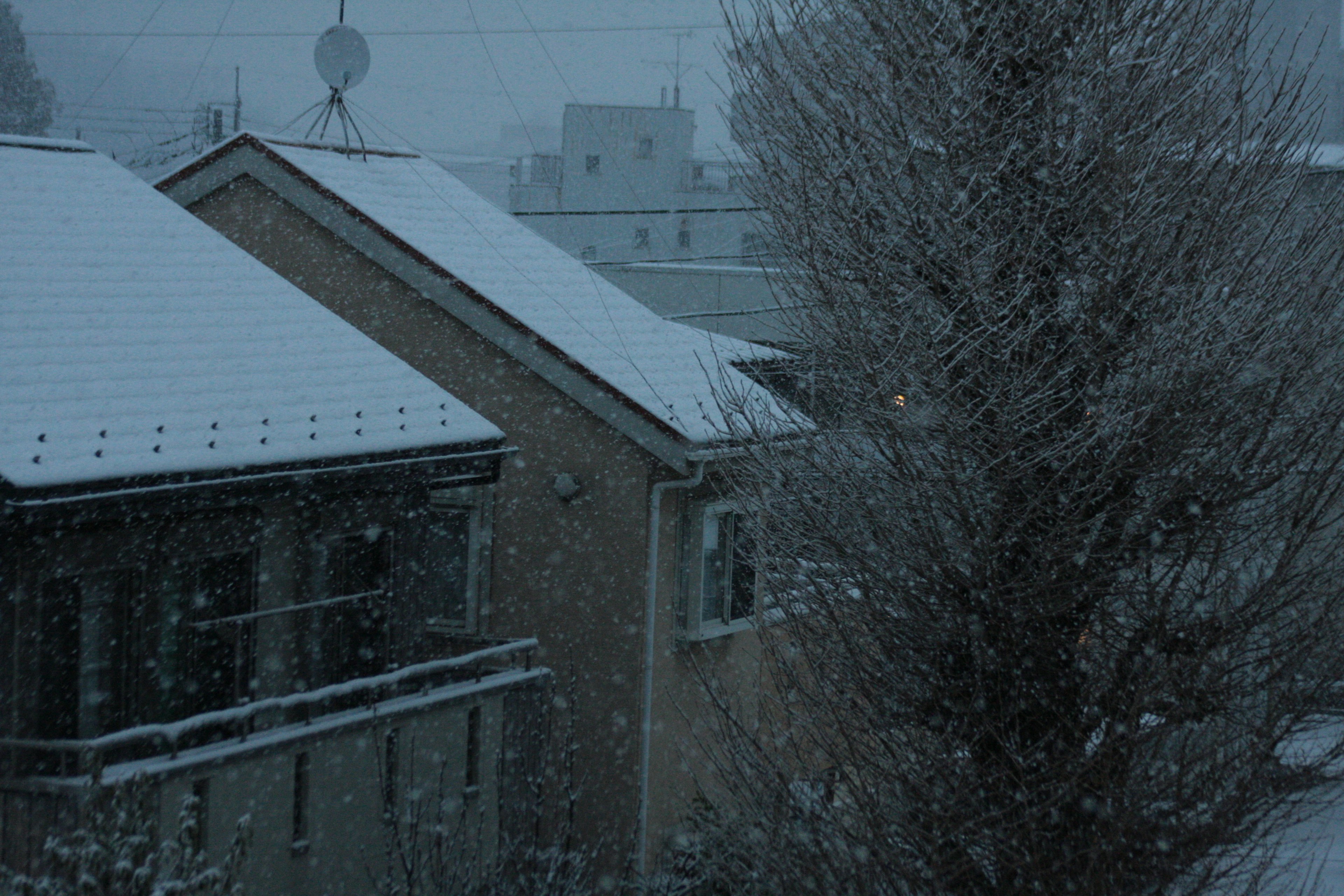 Winter scene featuring buildings and falling snow in a quiet neighborhood