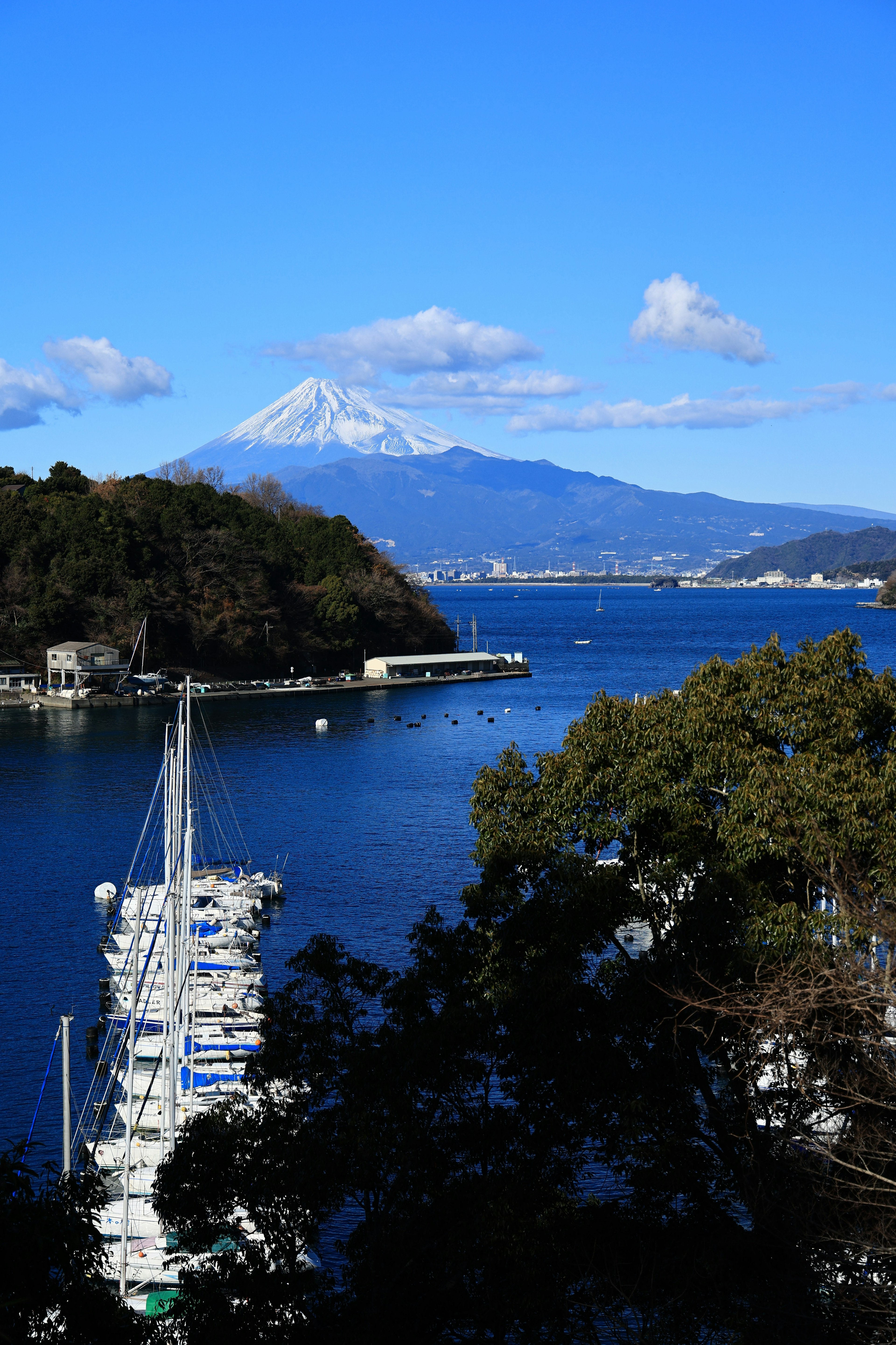 青空と富士山を背景にした海とヨットの風景