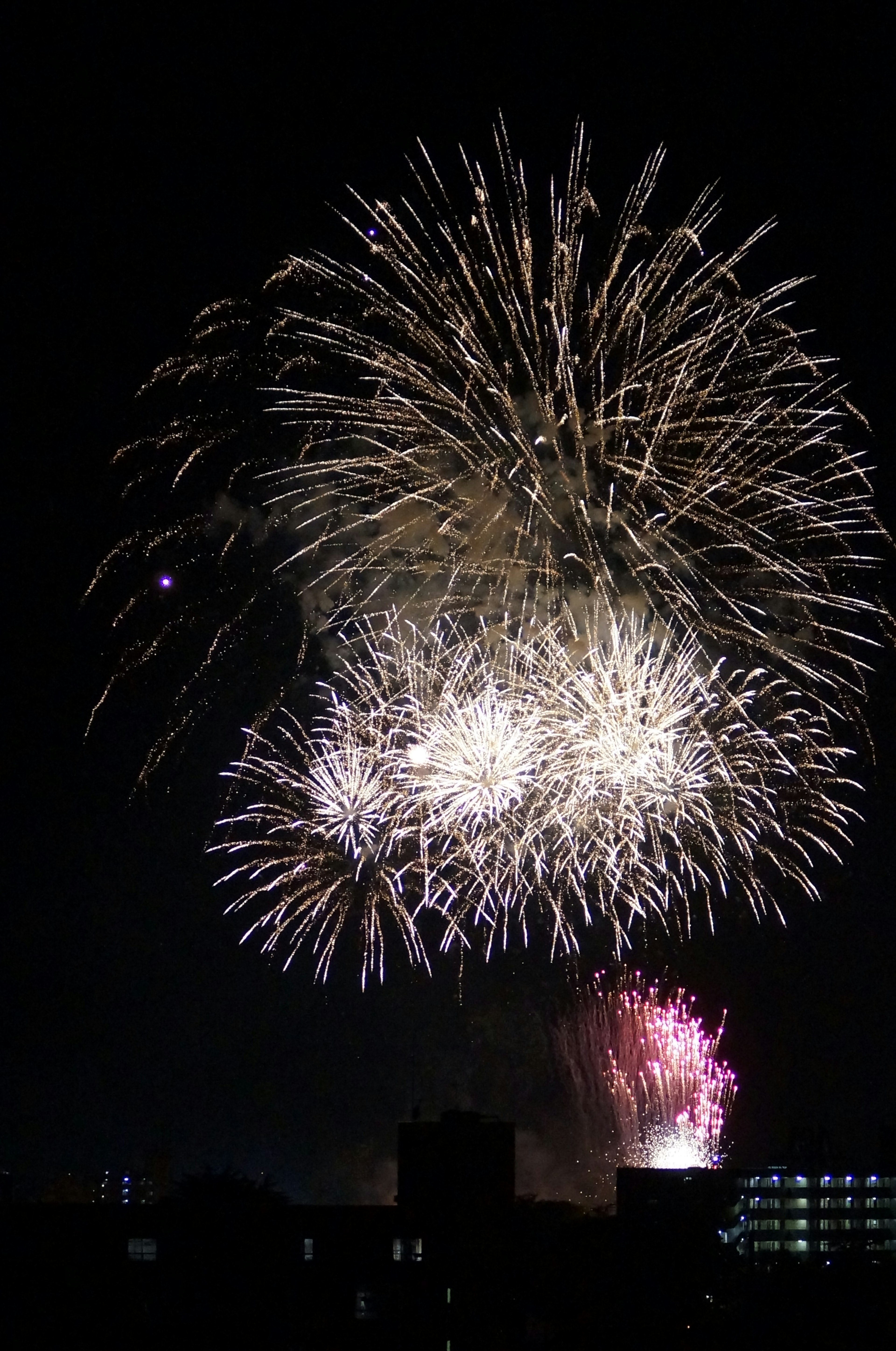 夜空に花火が大きく開いている様子白とピンクの花火が目立つ