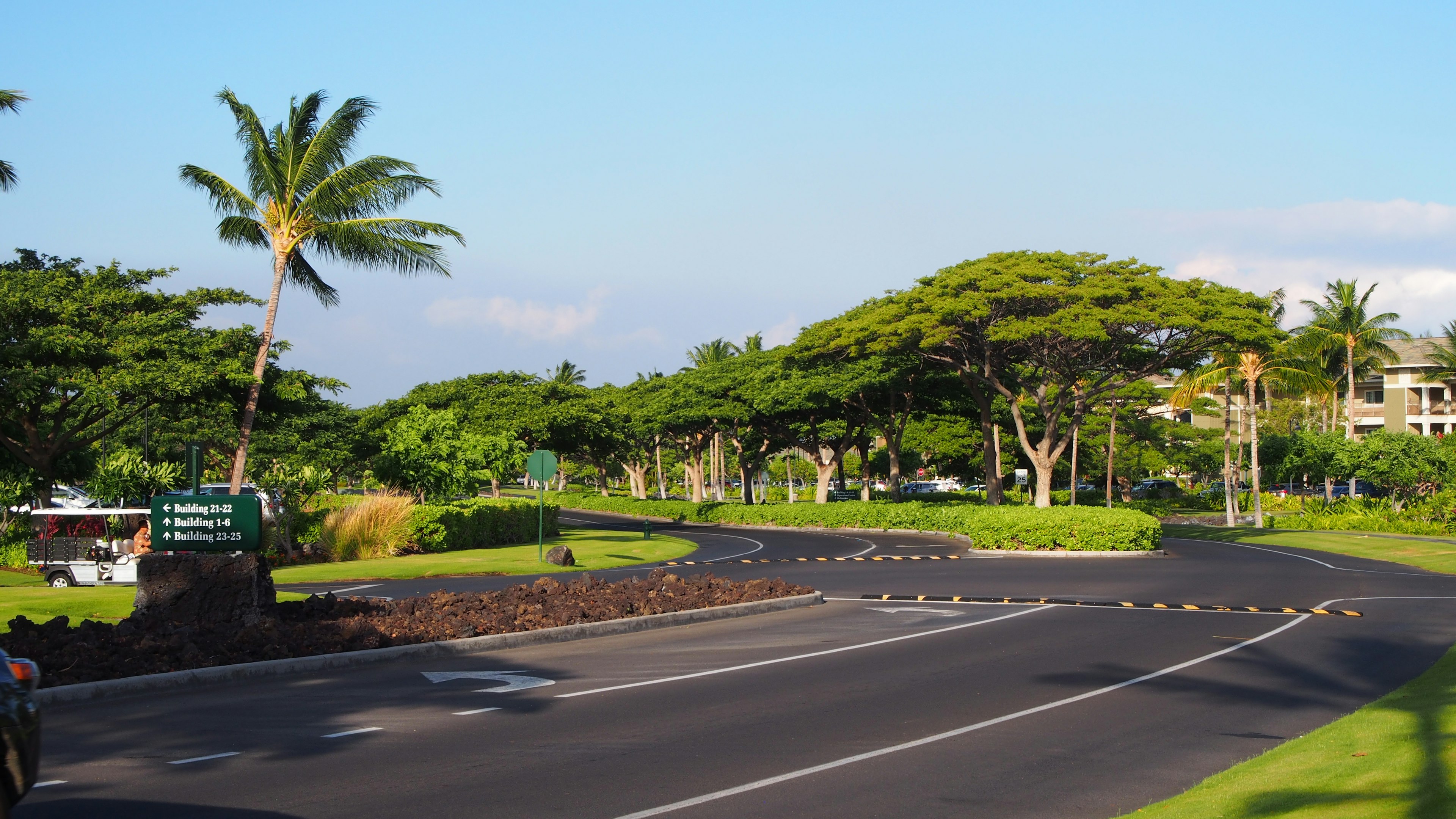 Curved road surrounded by lush greenery under a blue sky