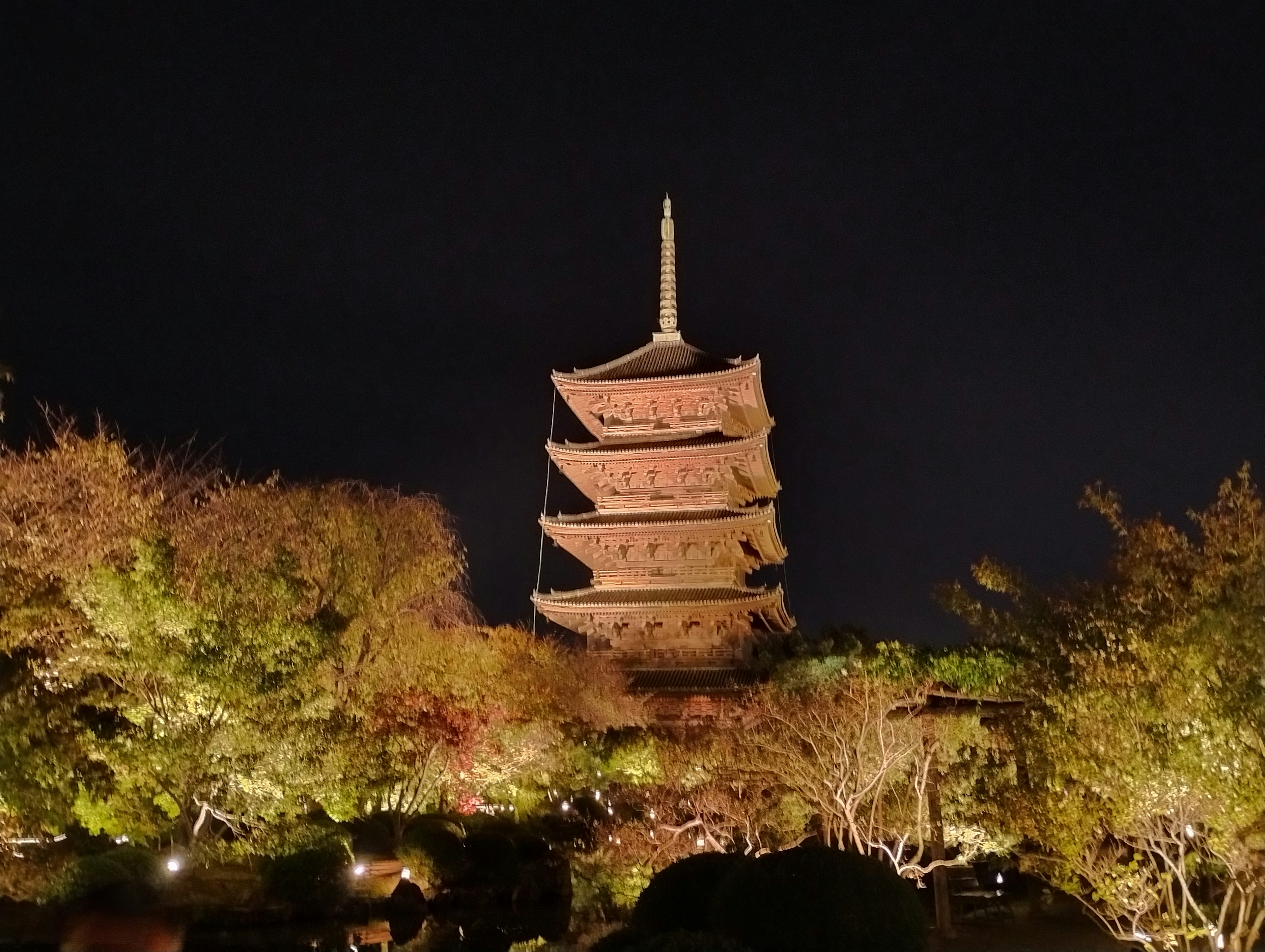 Illuminated five-story pagoda at night surrounded by lush greenery