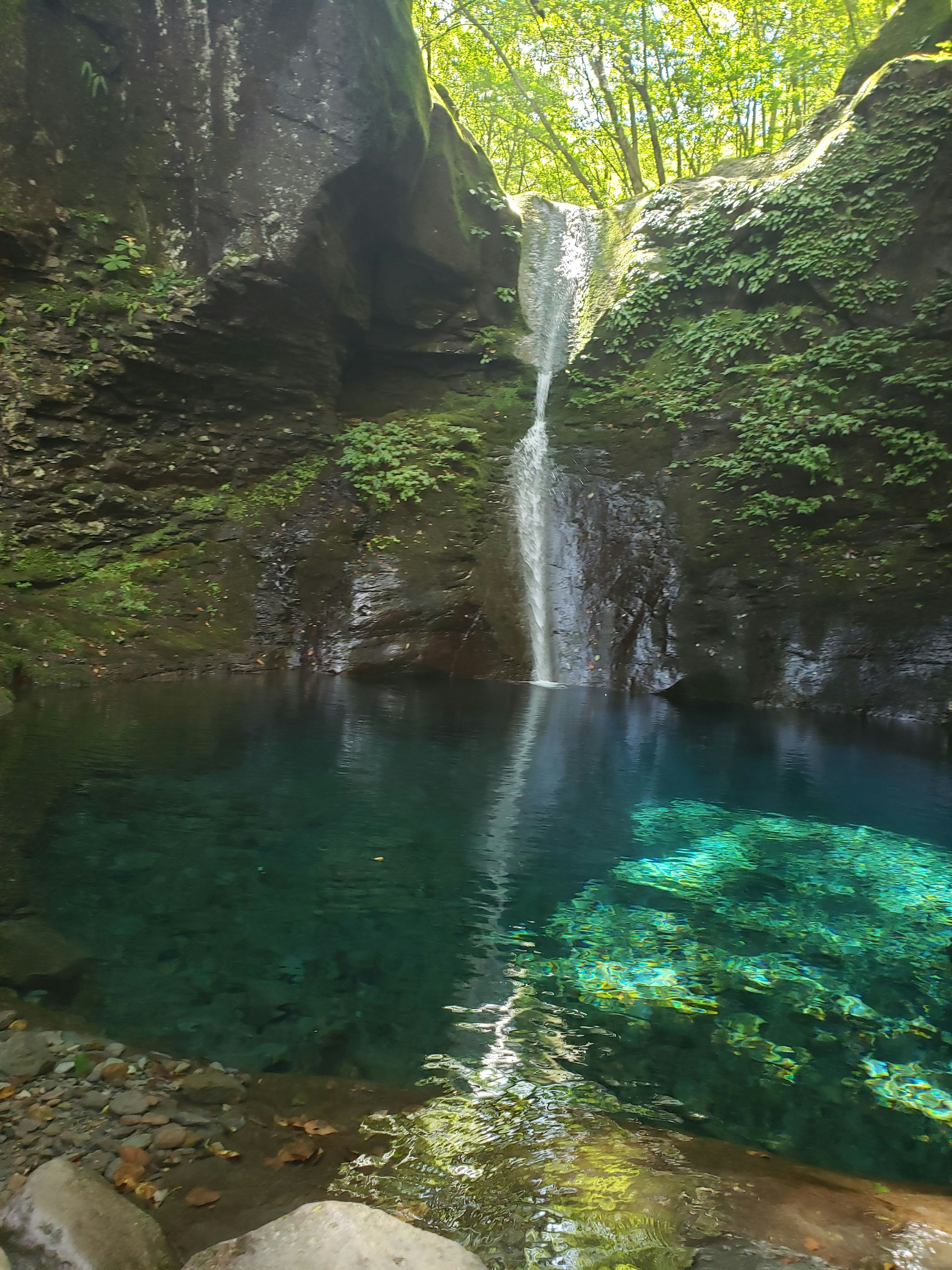 Scenario naturale con una cascata lussureggiante e una piscina turchese chiara