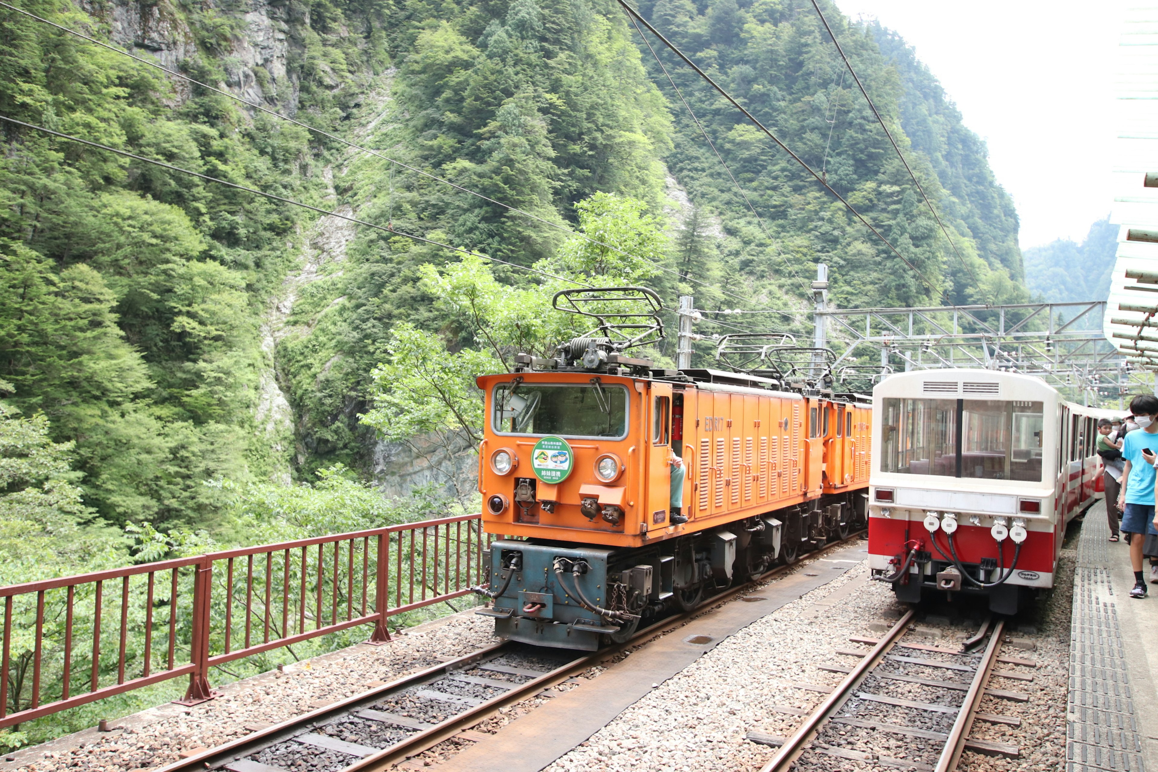 風景如畫的火車站，橙色機車和白色列車被郁郁蔥蔥的山脈環繞