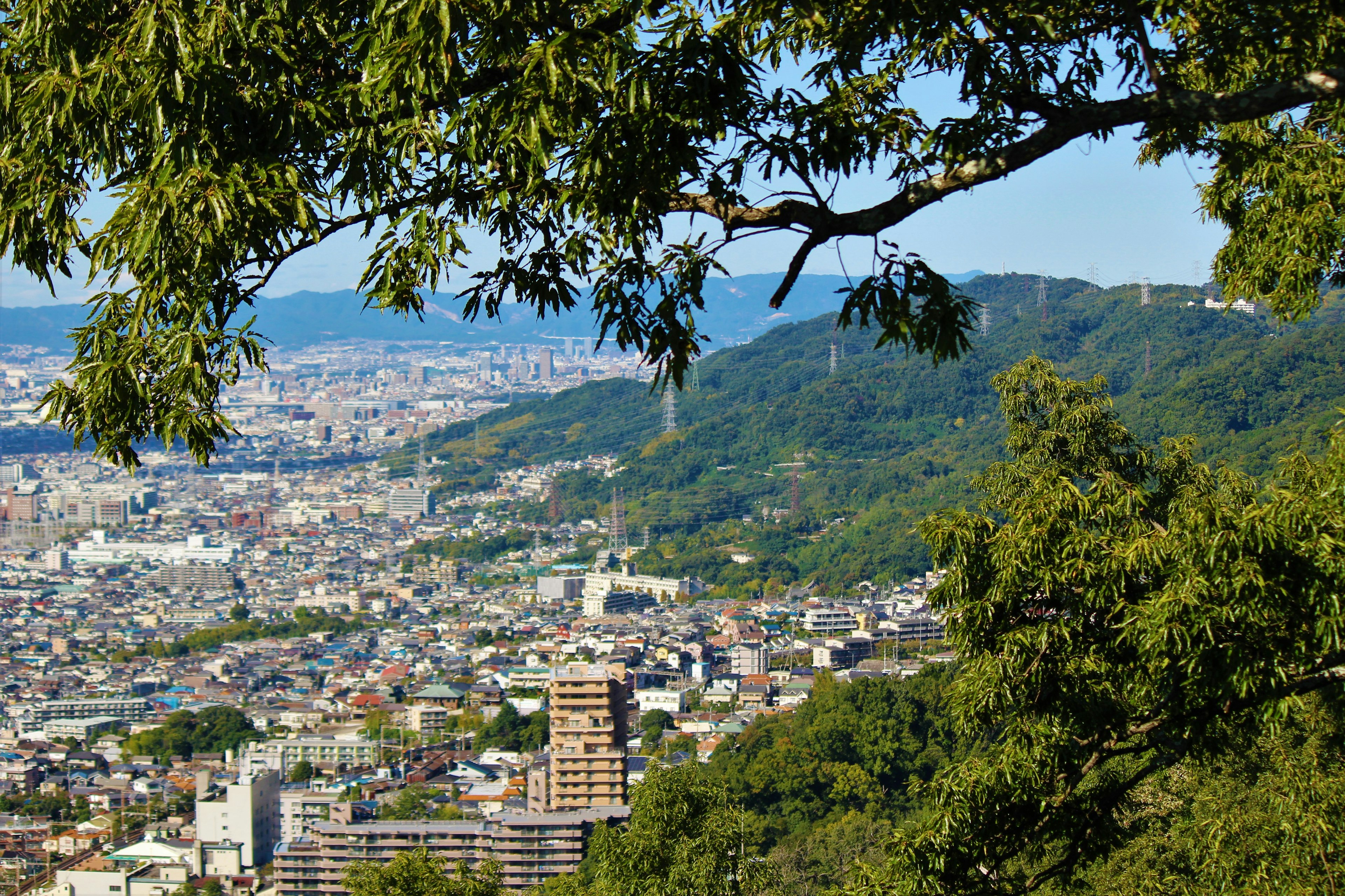 Panoramablick auf eine Stadt mit üppigem Grün und fernen Hügeln