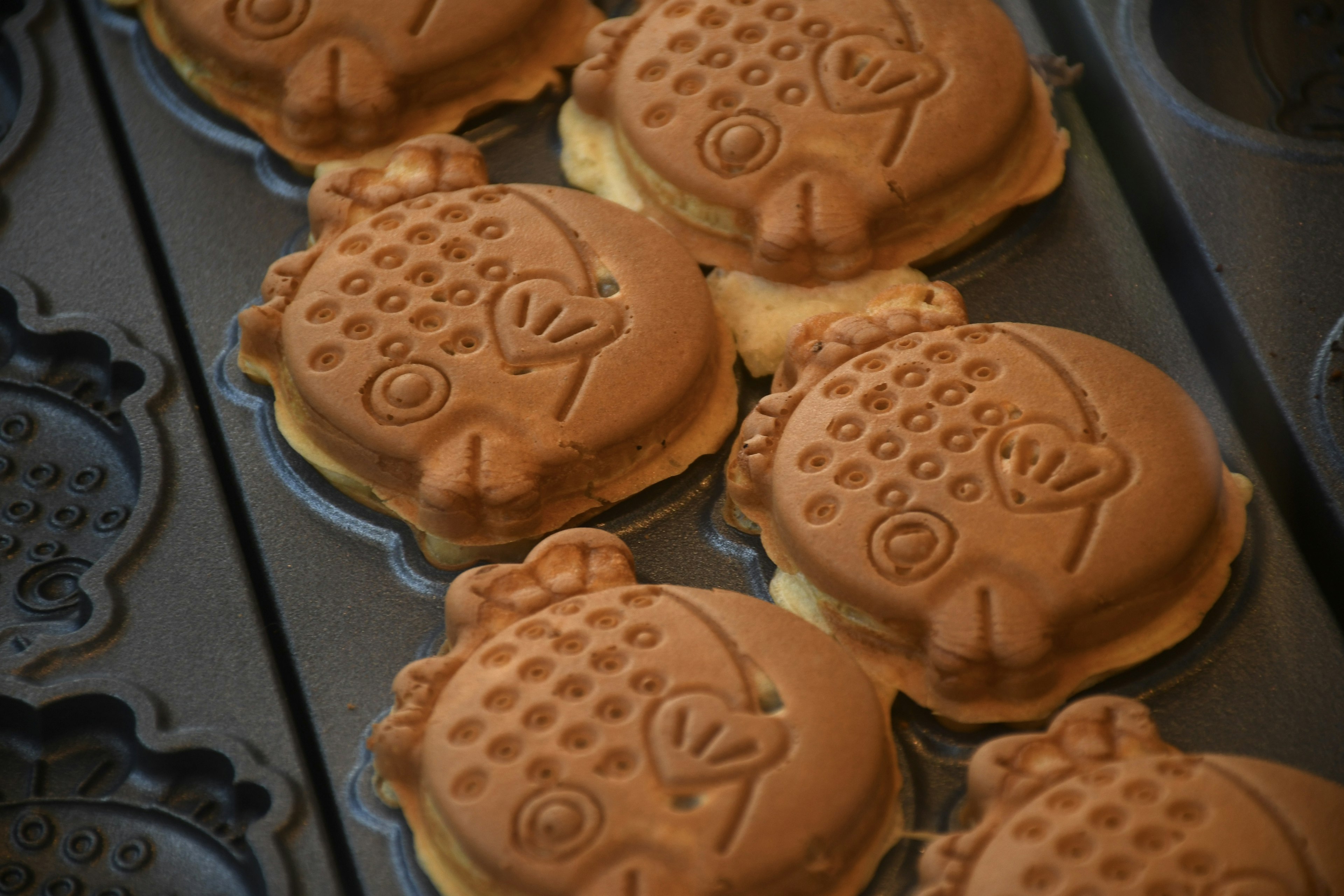 Fish-shaped baked goods arranged in a tray