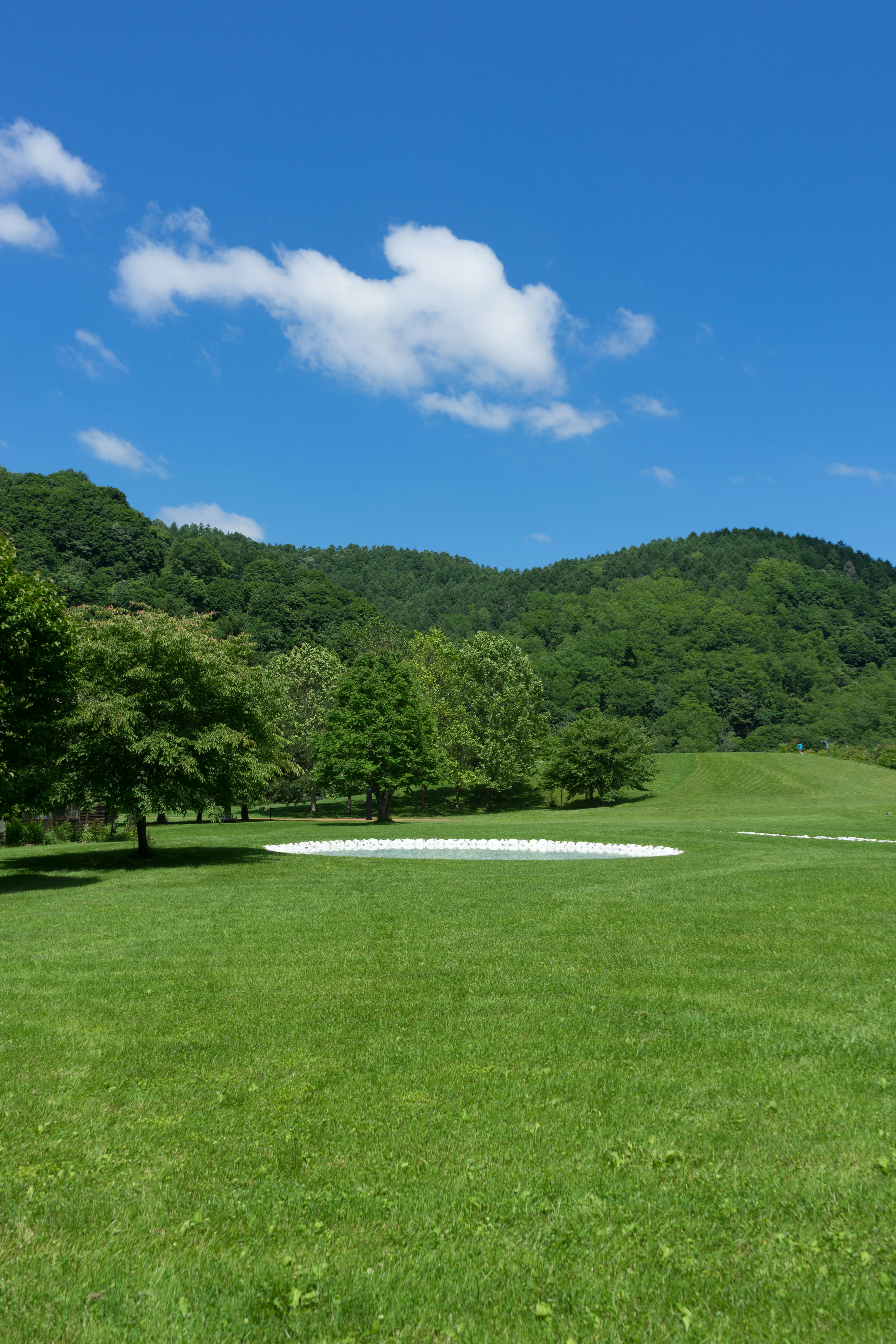 Un pré vert sous un ciel bleu avec des nuages duveteux et des collines lointaines