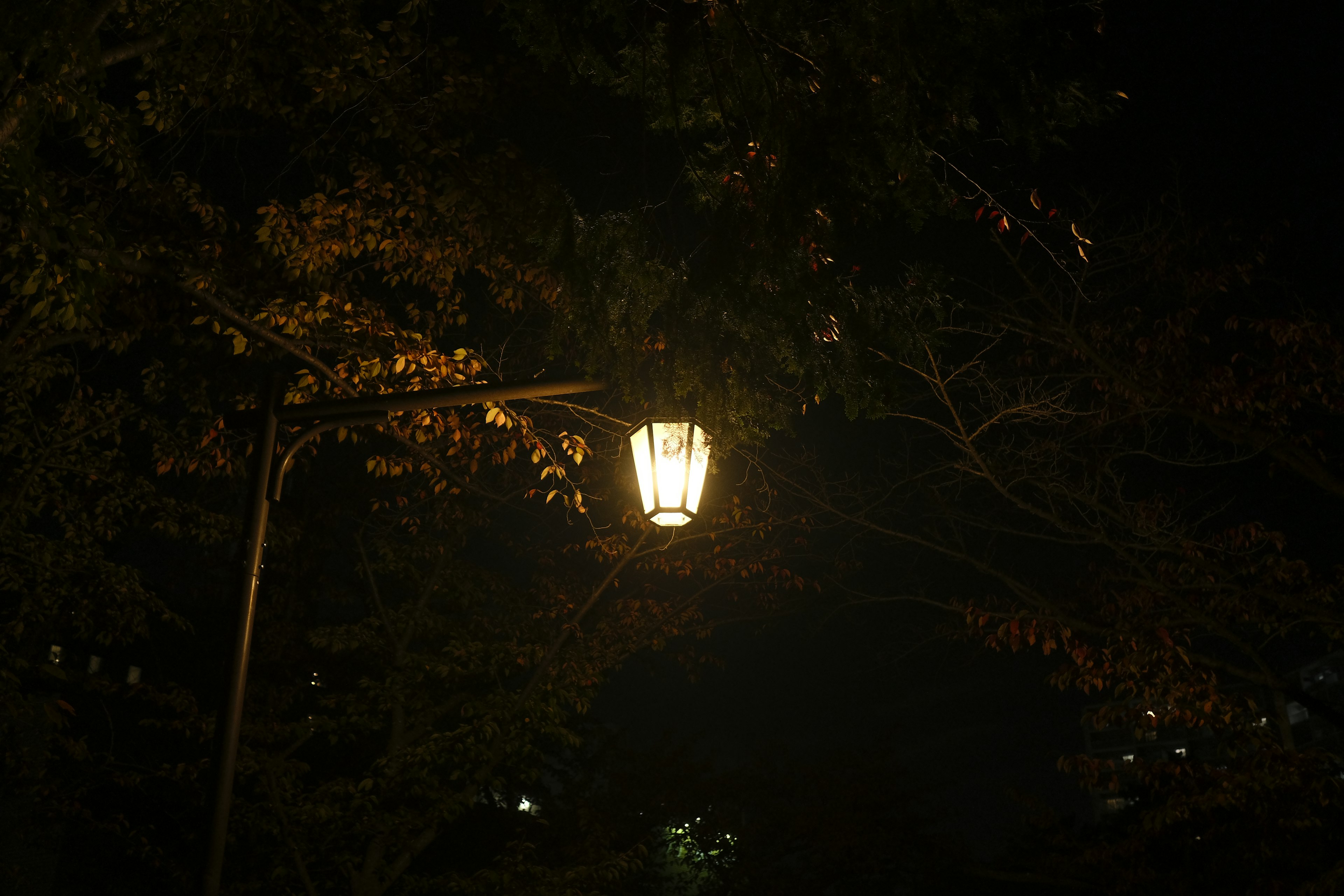 Una farola iluminada en un parque oscuro