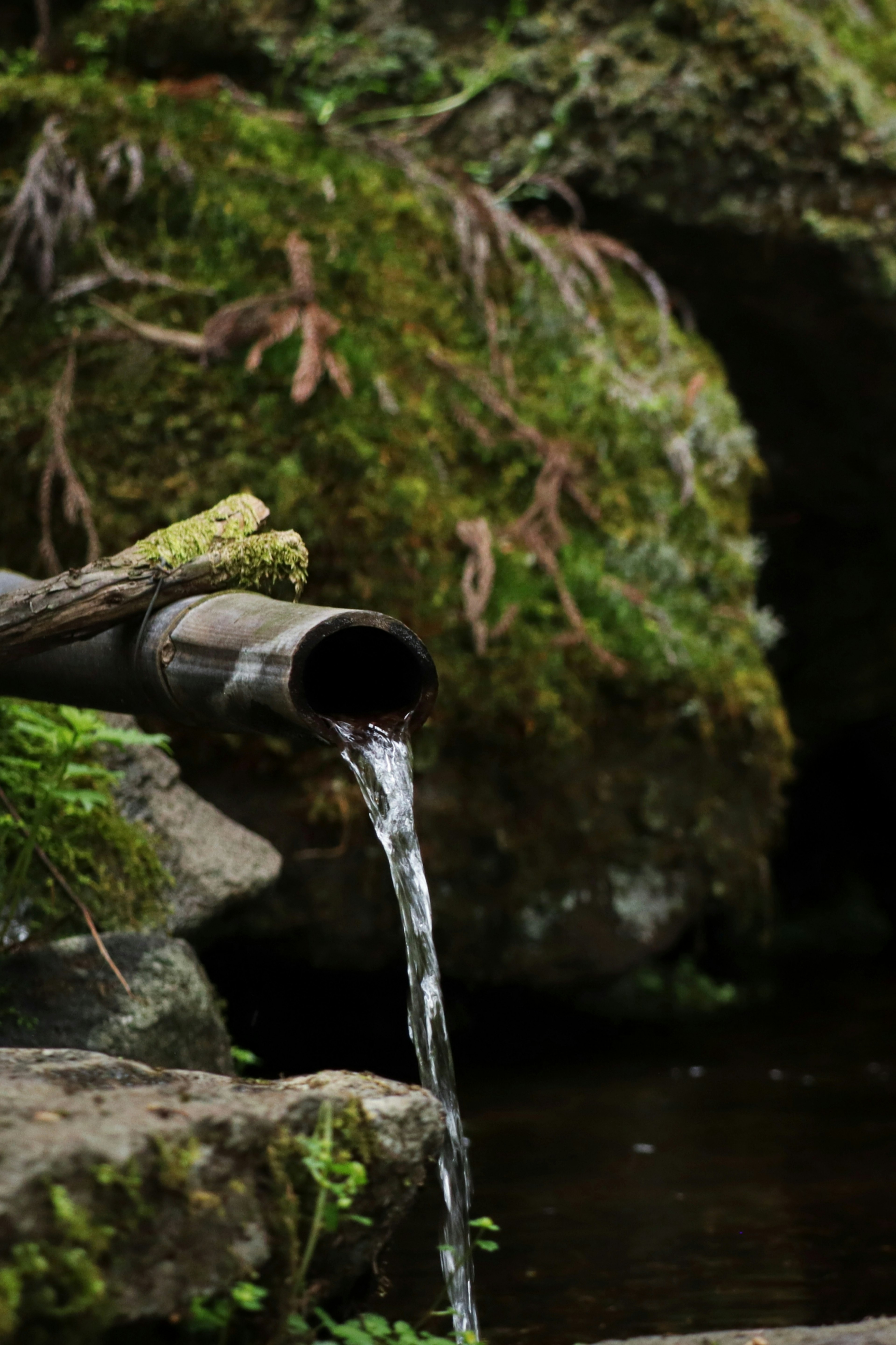 Bamboo water spout flowing into a serene natural setting with mossy rocks