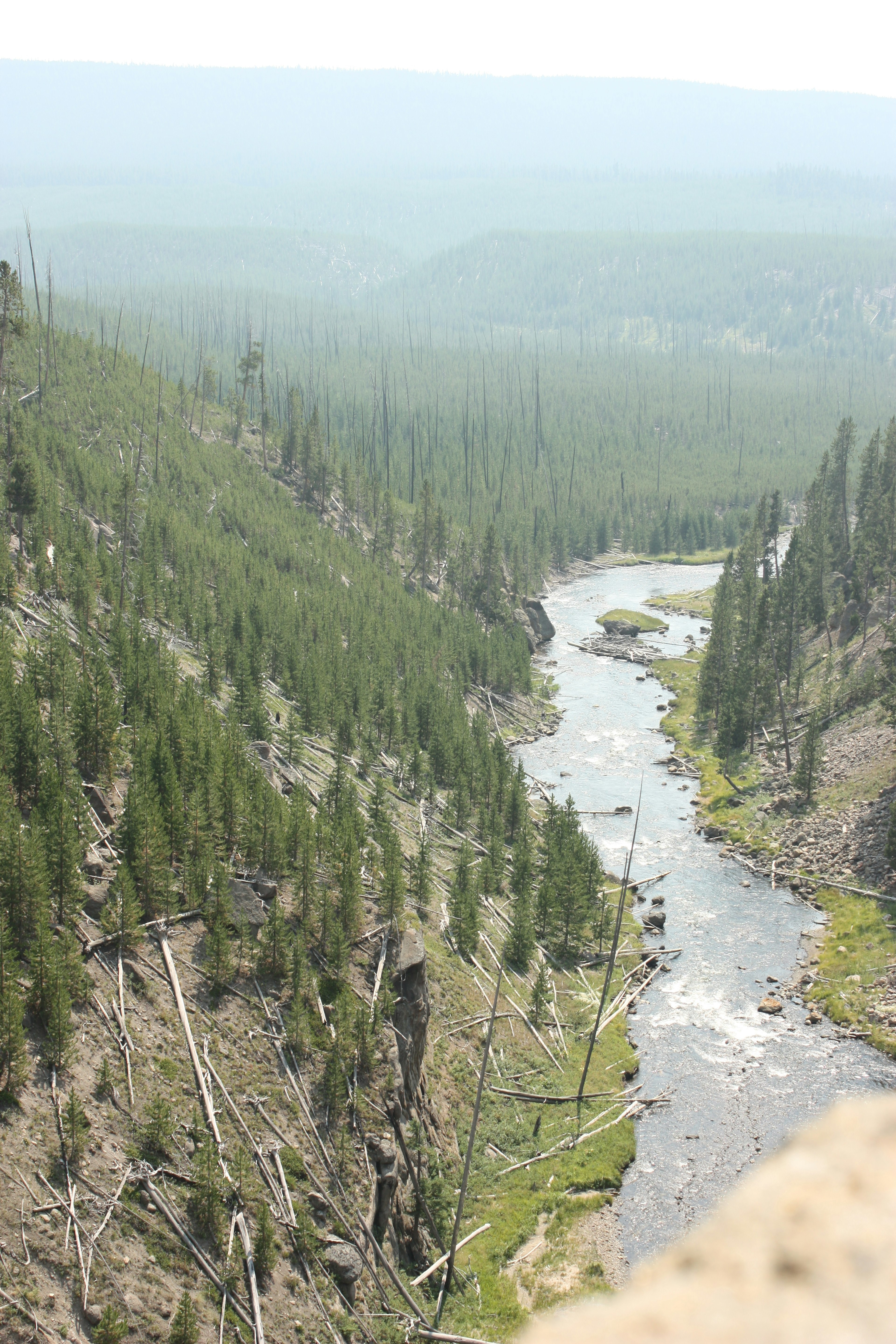 Vista pintoresca de un río serpenteante a través de bosques verdes