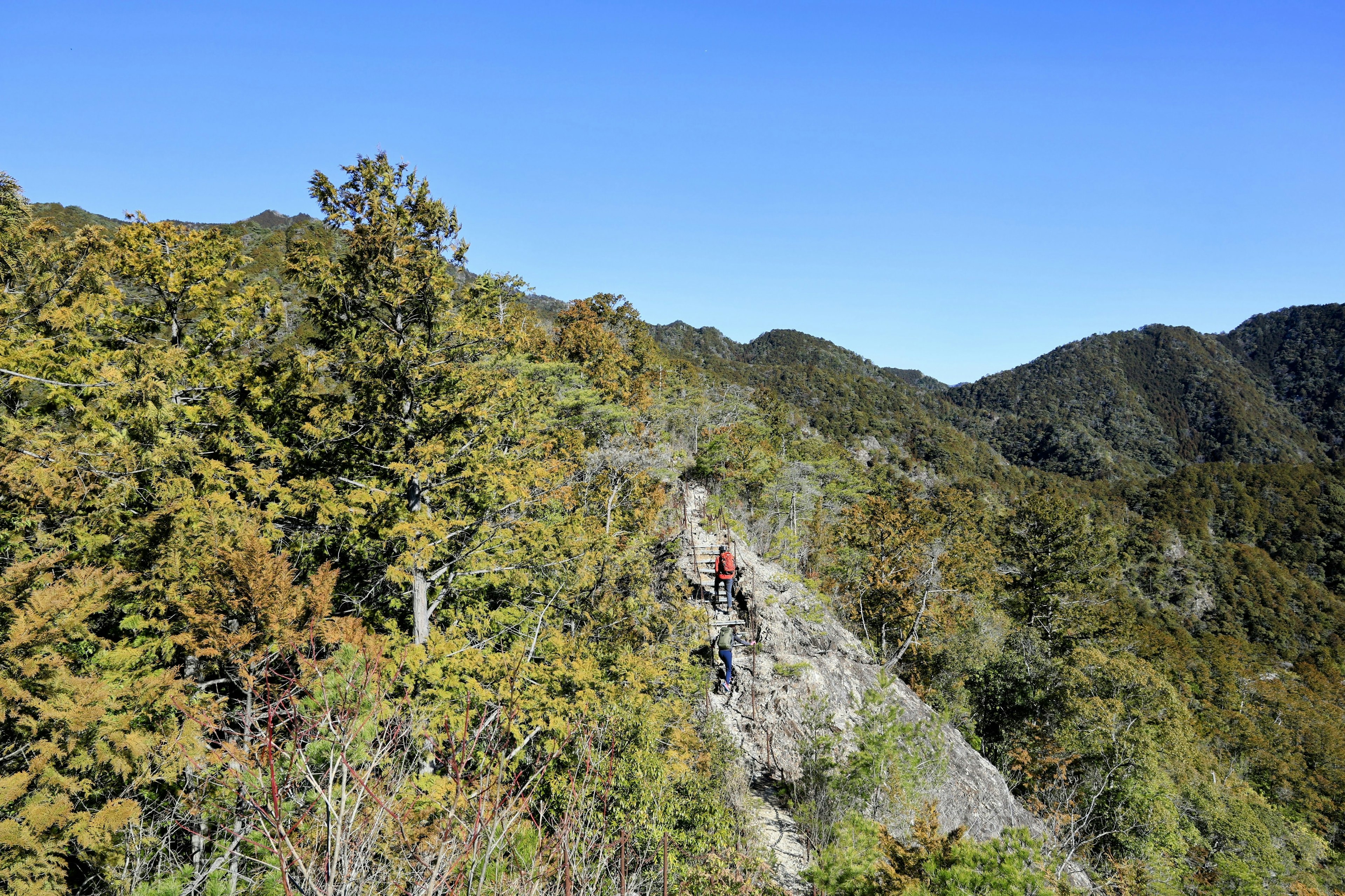 緑の山々の間を歩く登山者と青空