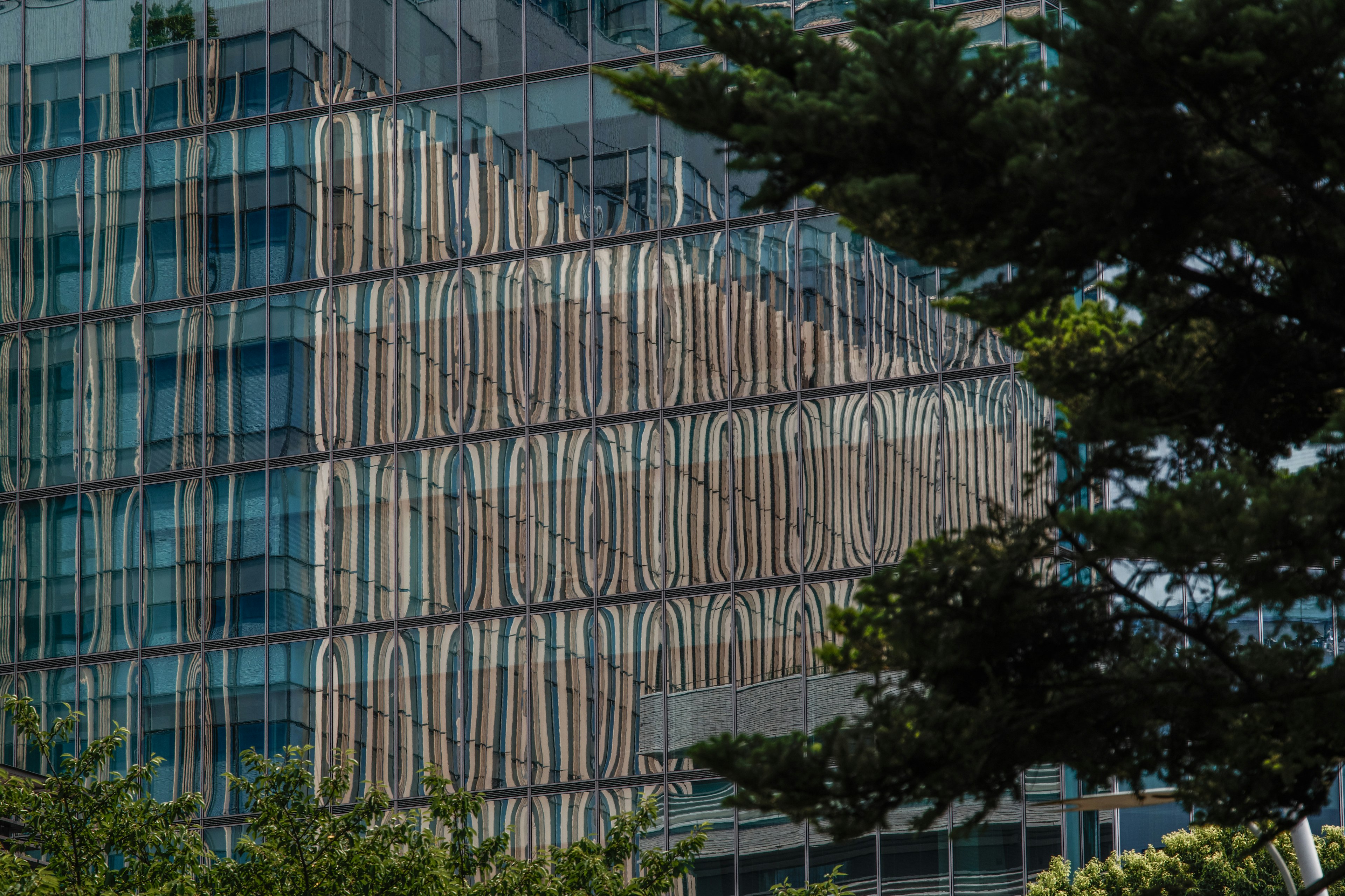 Réflexion d'un bâtiment moderne avec des arbres verts