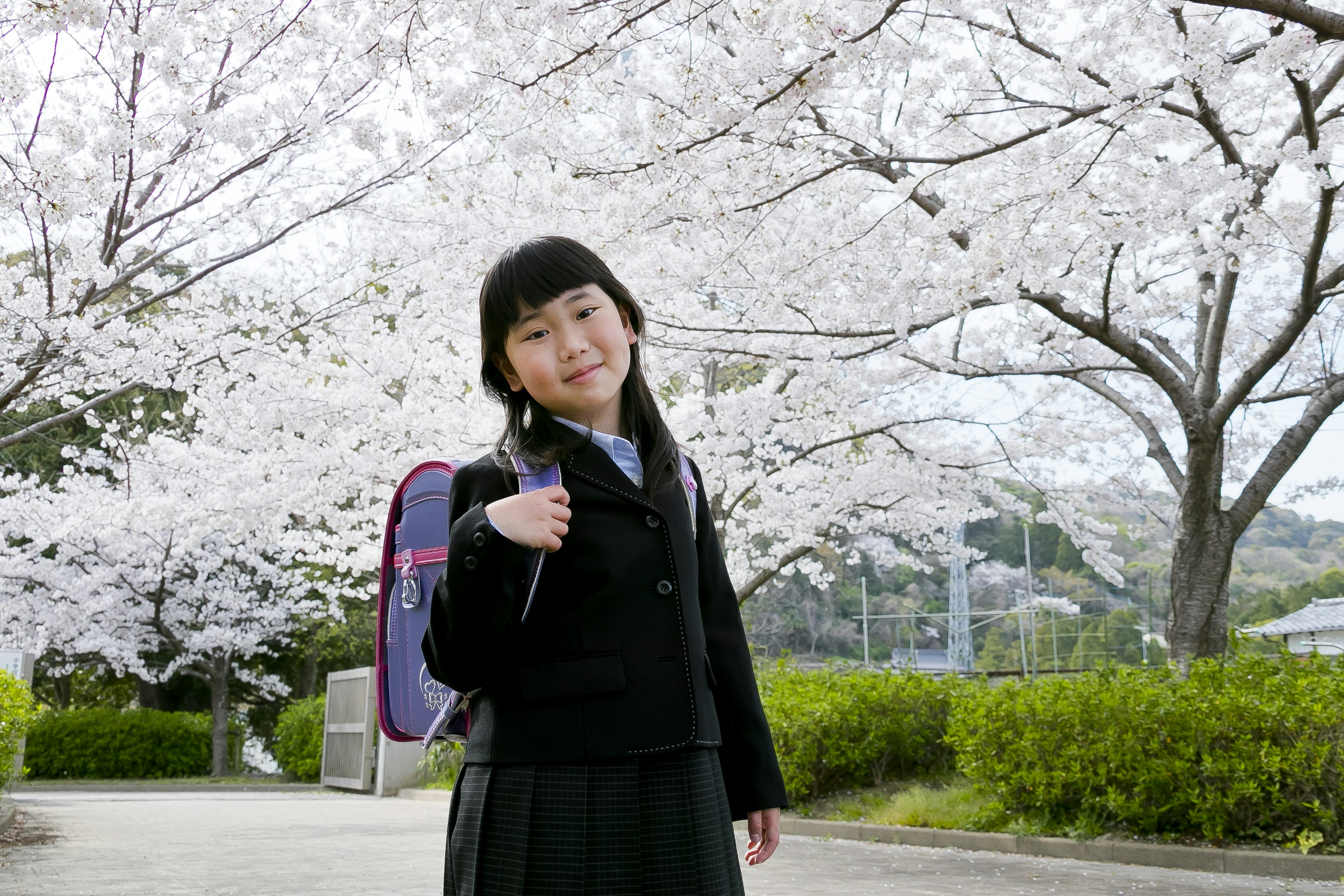 Gadis tersenyum di bawah pohon sakura mengenakan seragam hitam dan membawa ransel ungu