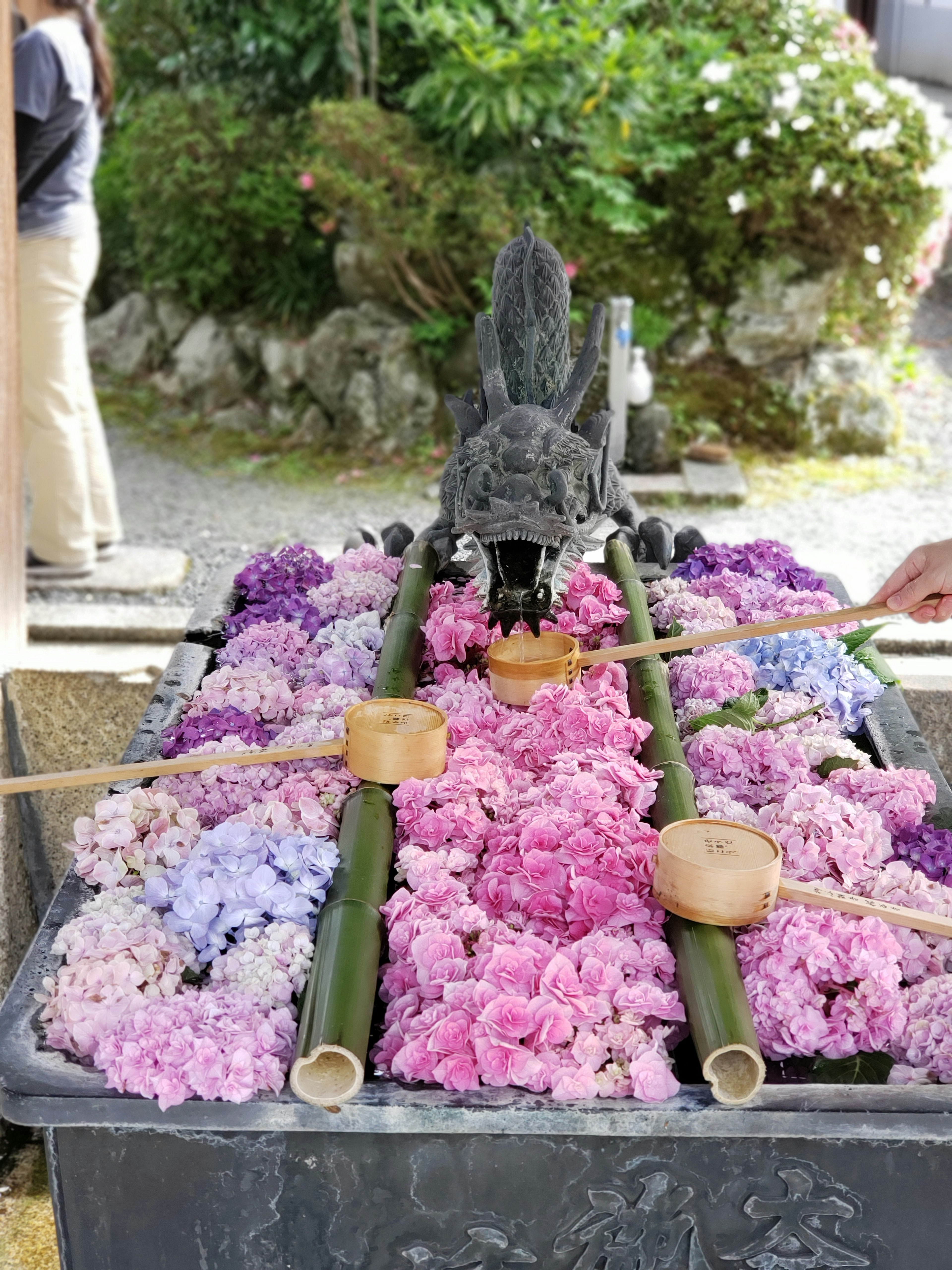 Una escena con pétalos de flores coloridas dispuestos alrededor de una fuente de agua con una estatua de dragón