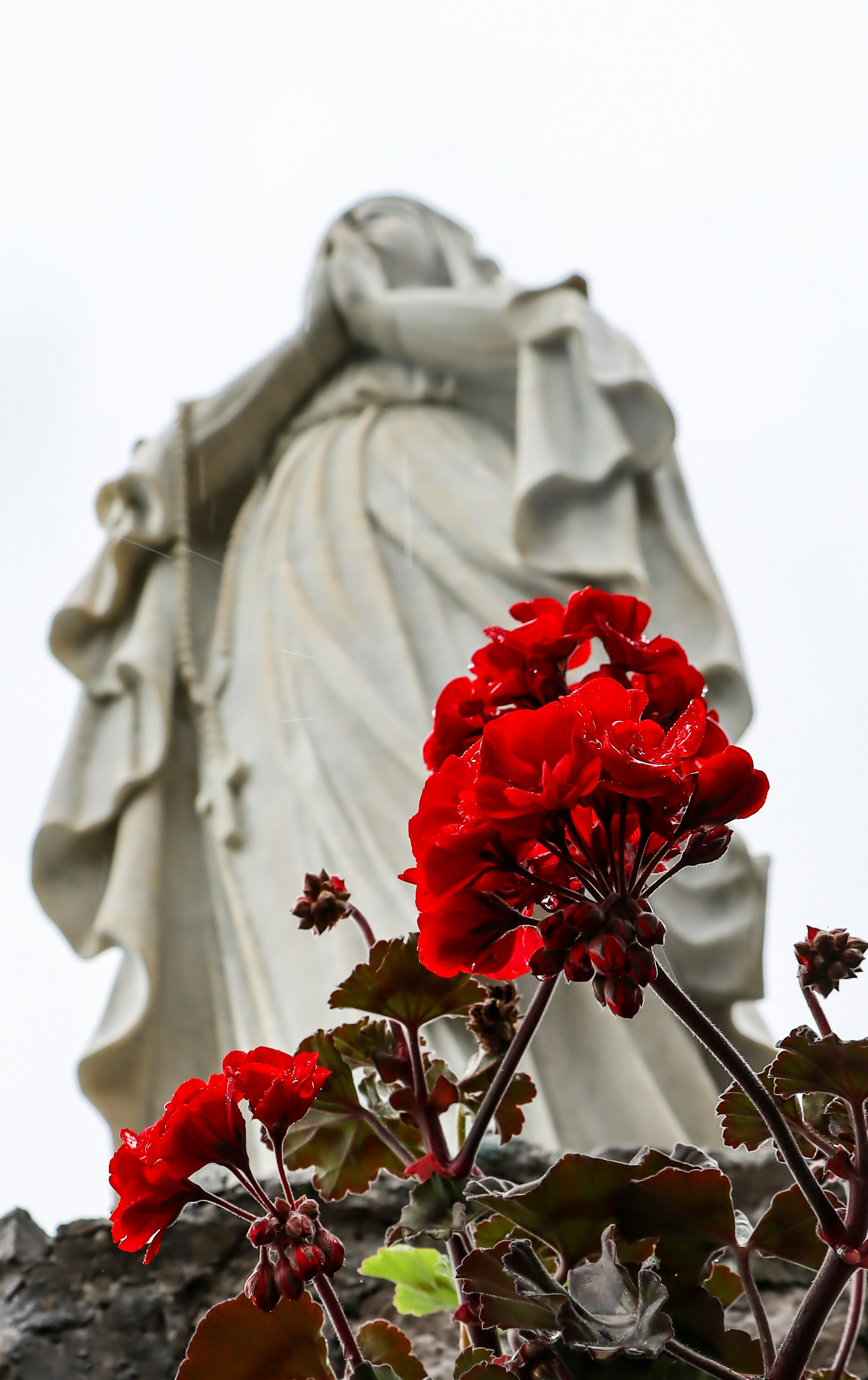 Vue de dos d'une statue blanche avec des fleurs rouges au premier plan