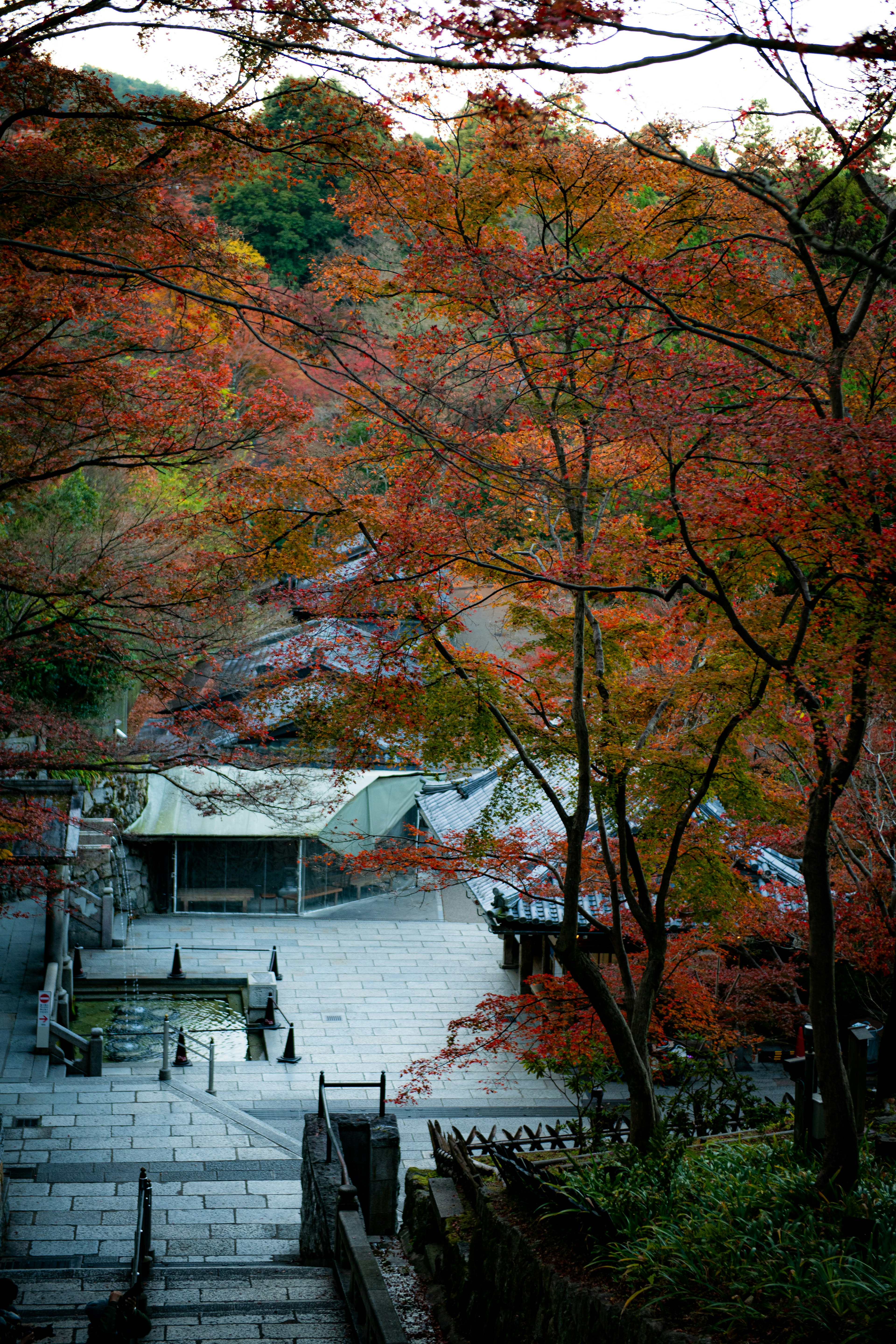 Scenic view of a temple surrounded by vibrant autumn foliage