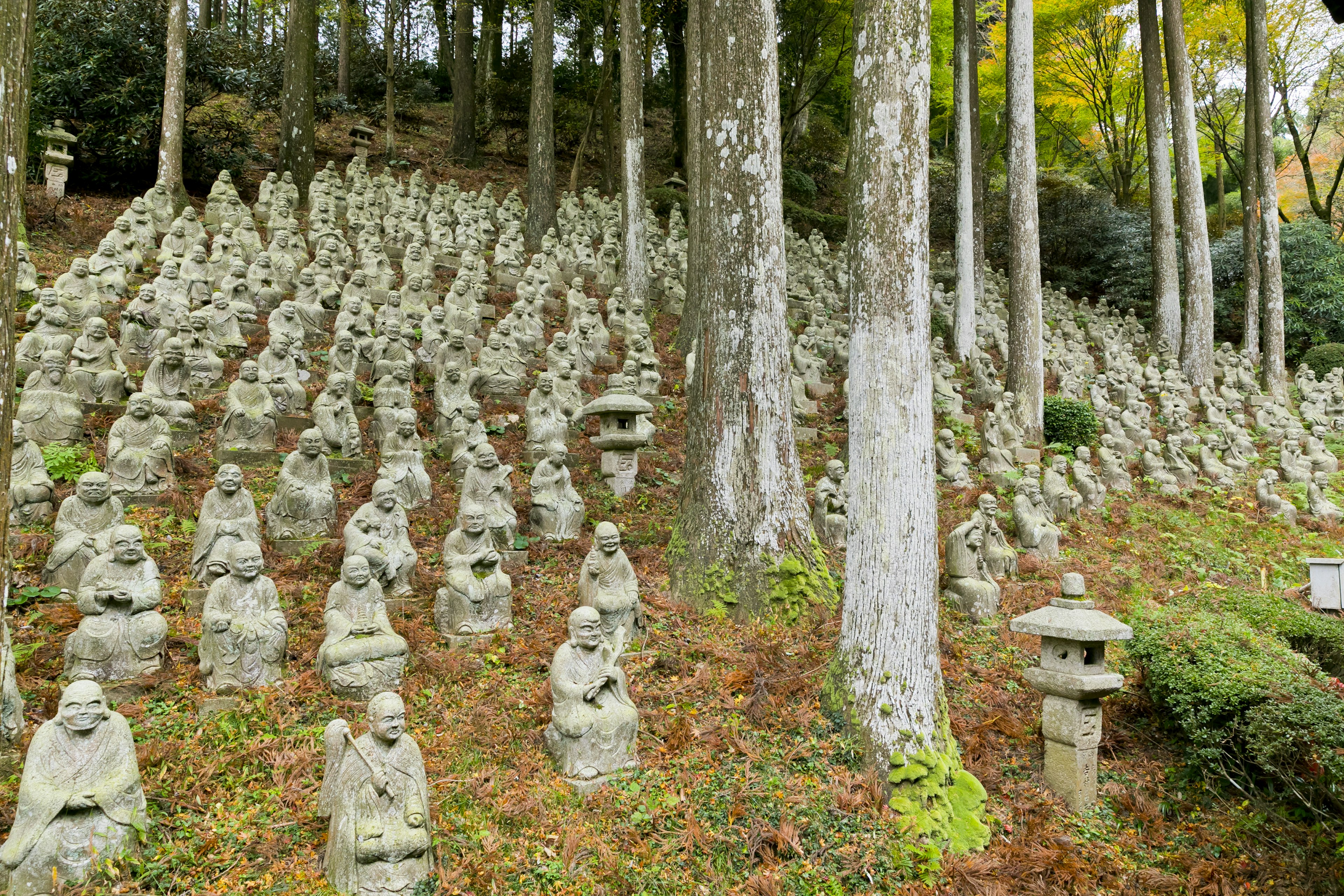 森の中に並ぶ多くの石像群と木々