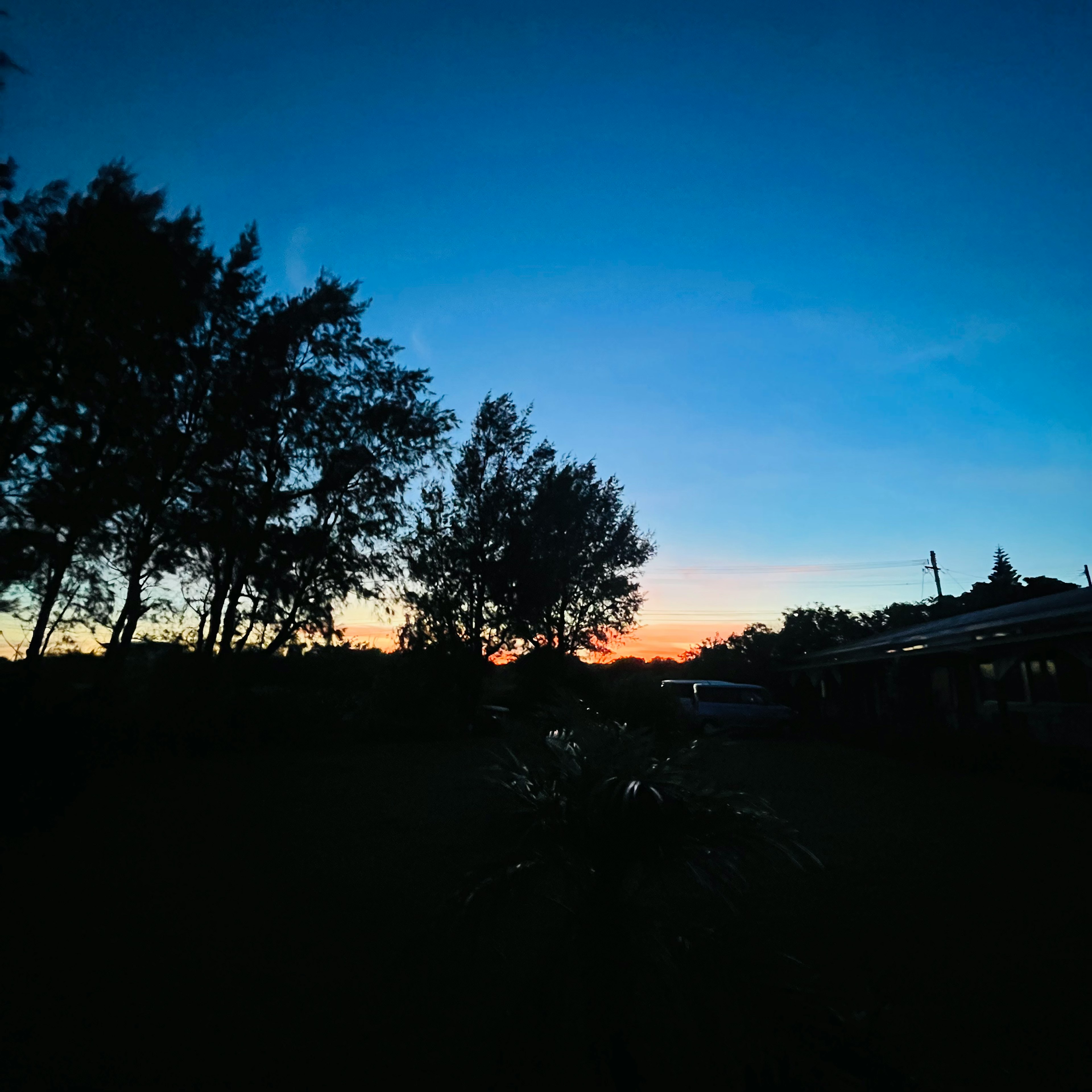 夕焼けの空とシルエットの木々が見える風景