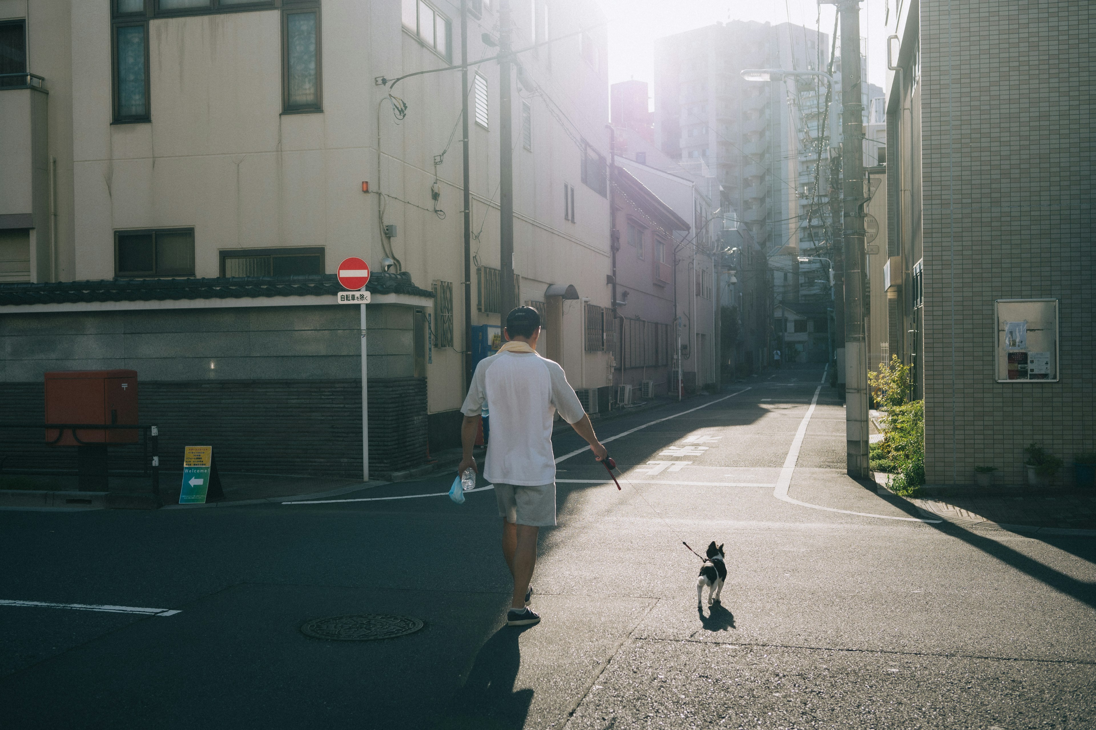 A man walking a dog on a narrow street with sunlight