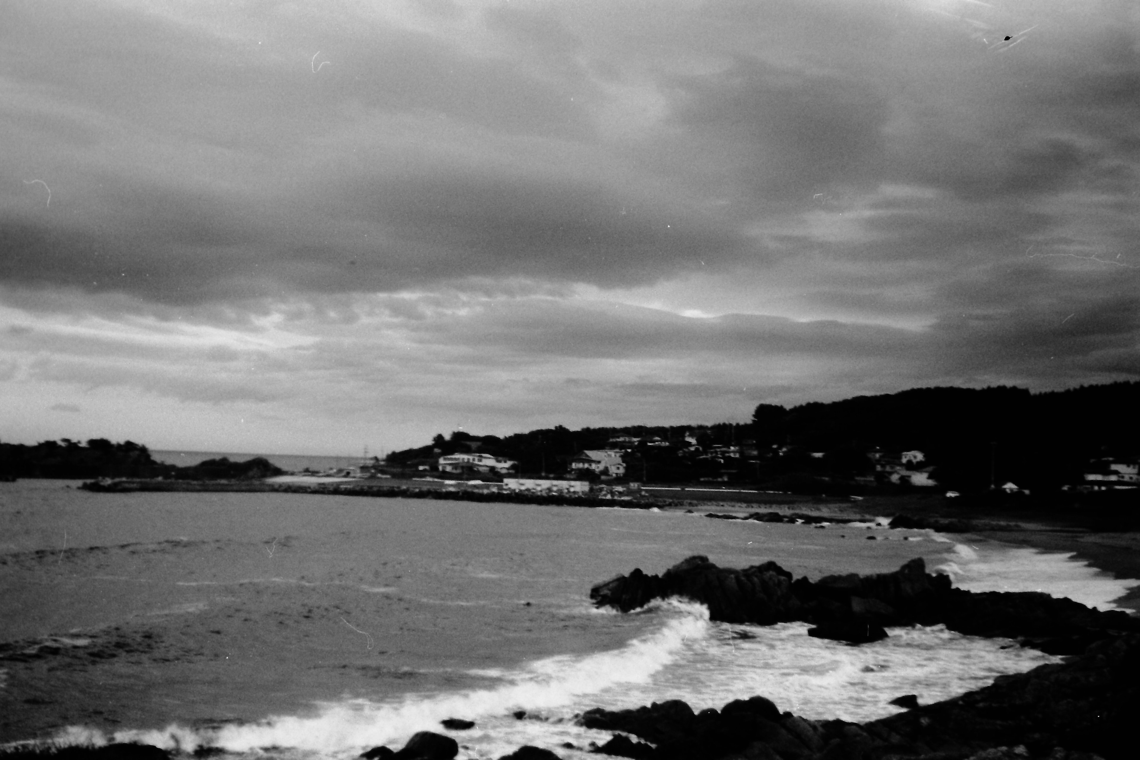 Black and white coastal landscape with waves