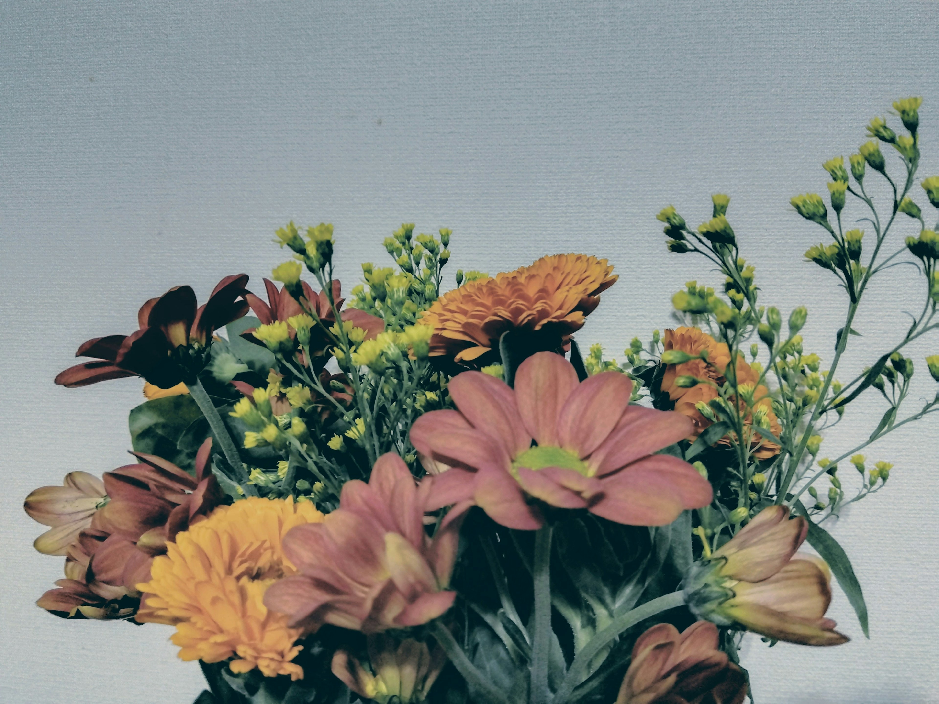 Colorful bouquet of flowers with green leaves