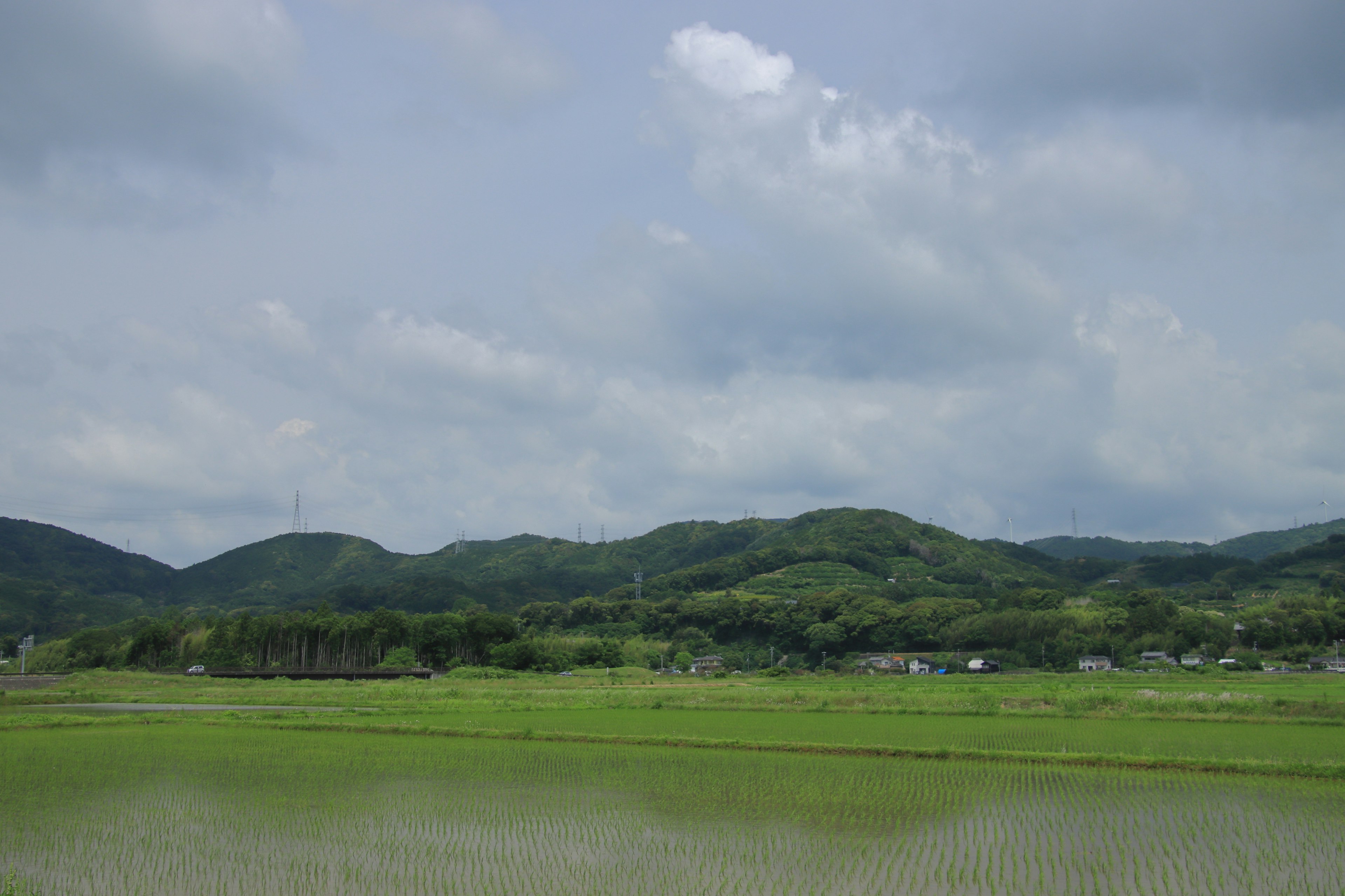 Paysage de campagne verdoyant sous un ciel bleu