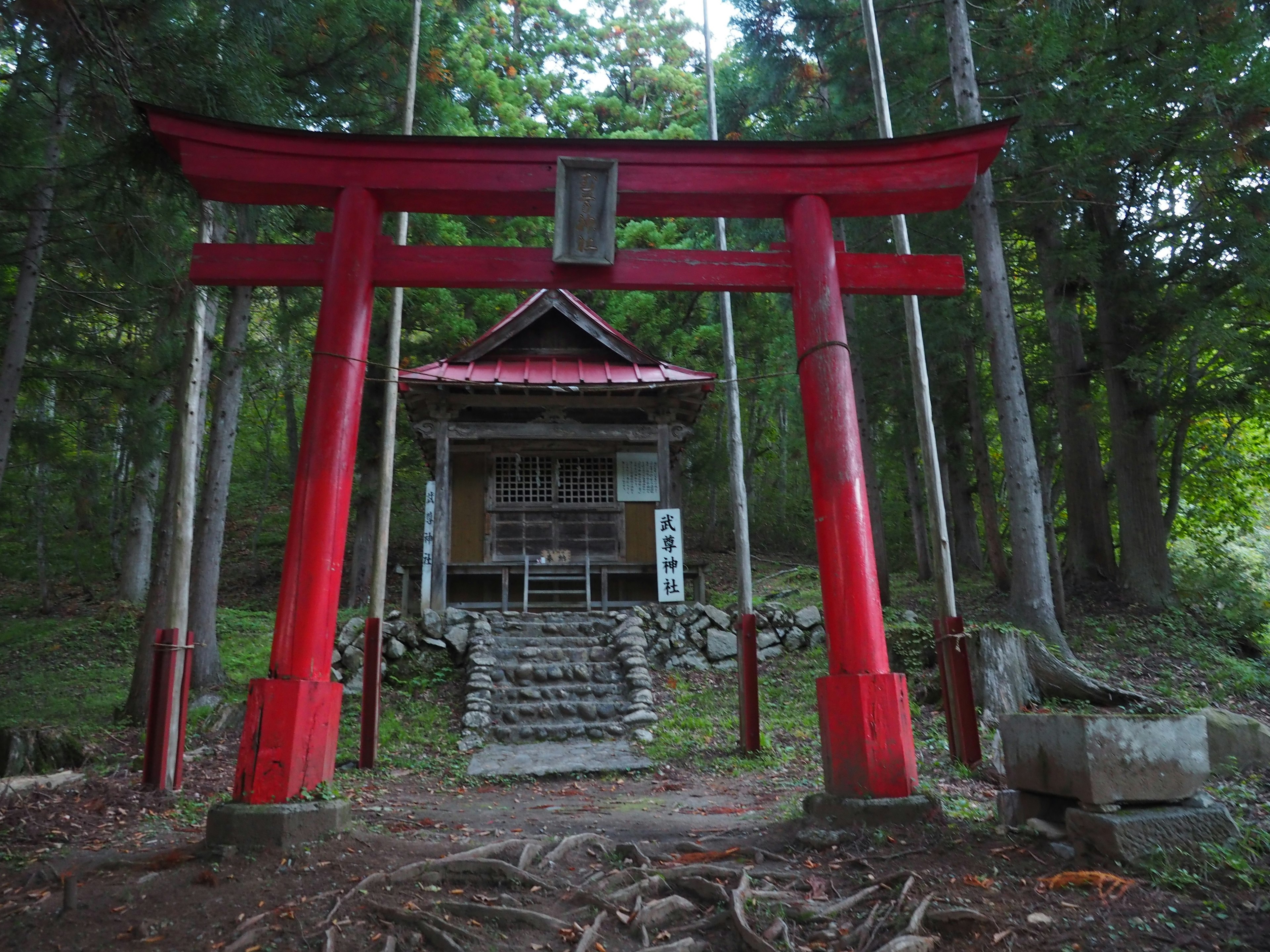 Portale torii rosso con un piccolo santuario in un ambiente boschivo