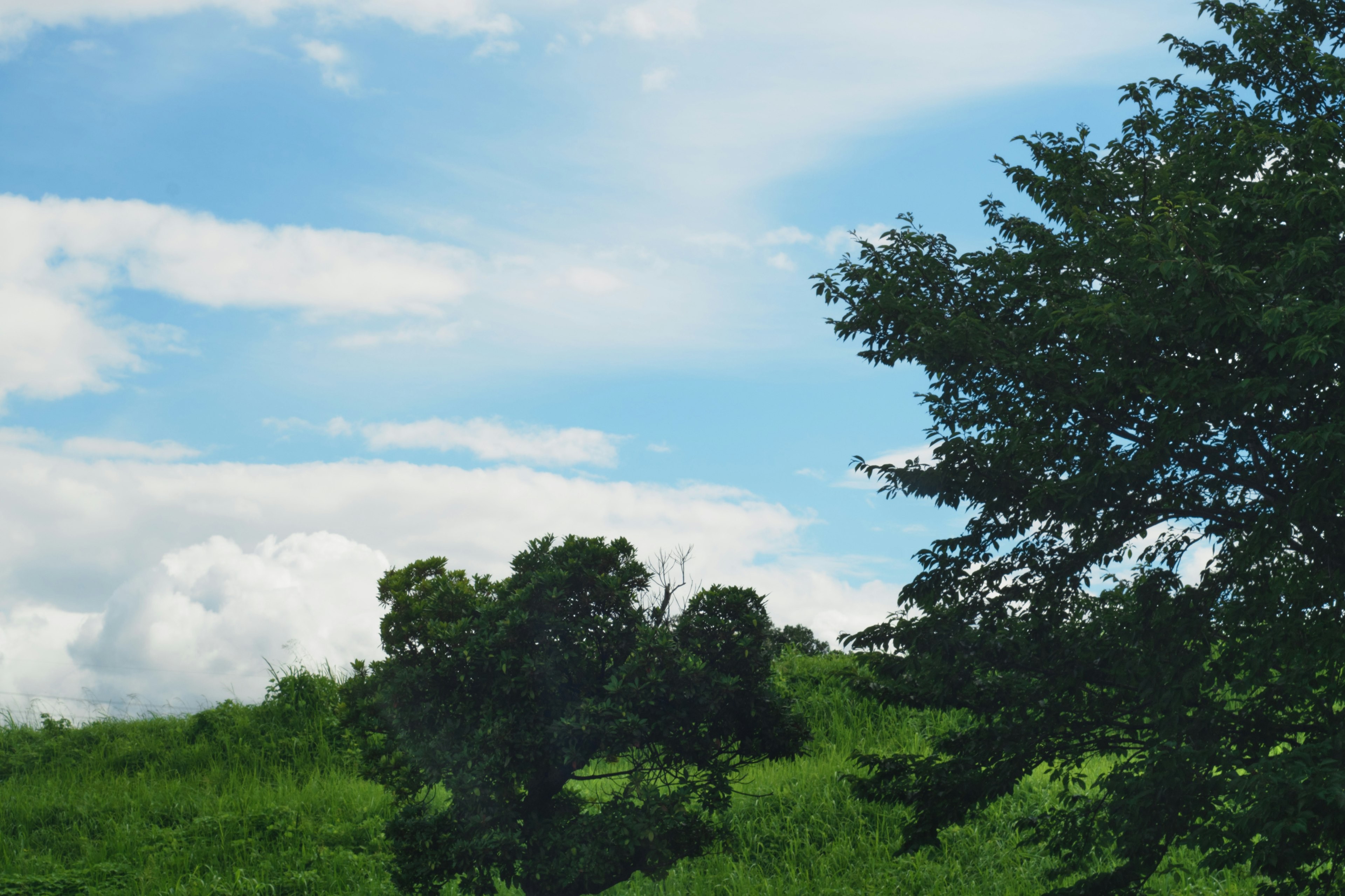 Pemandangan dengan bukit hijau subur dan pohon di bawah langit biru dengan awan putih