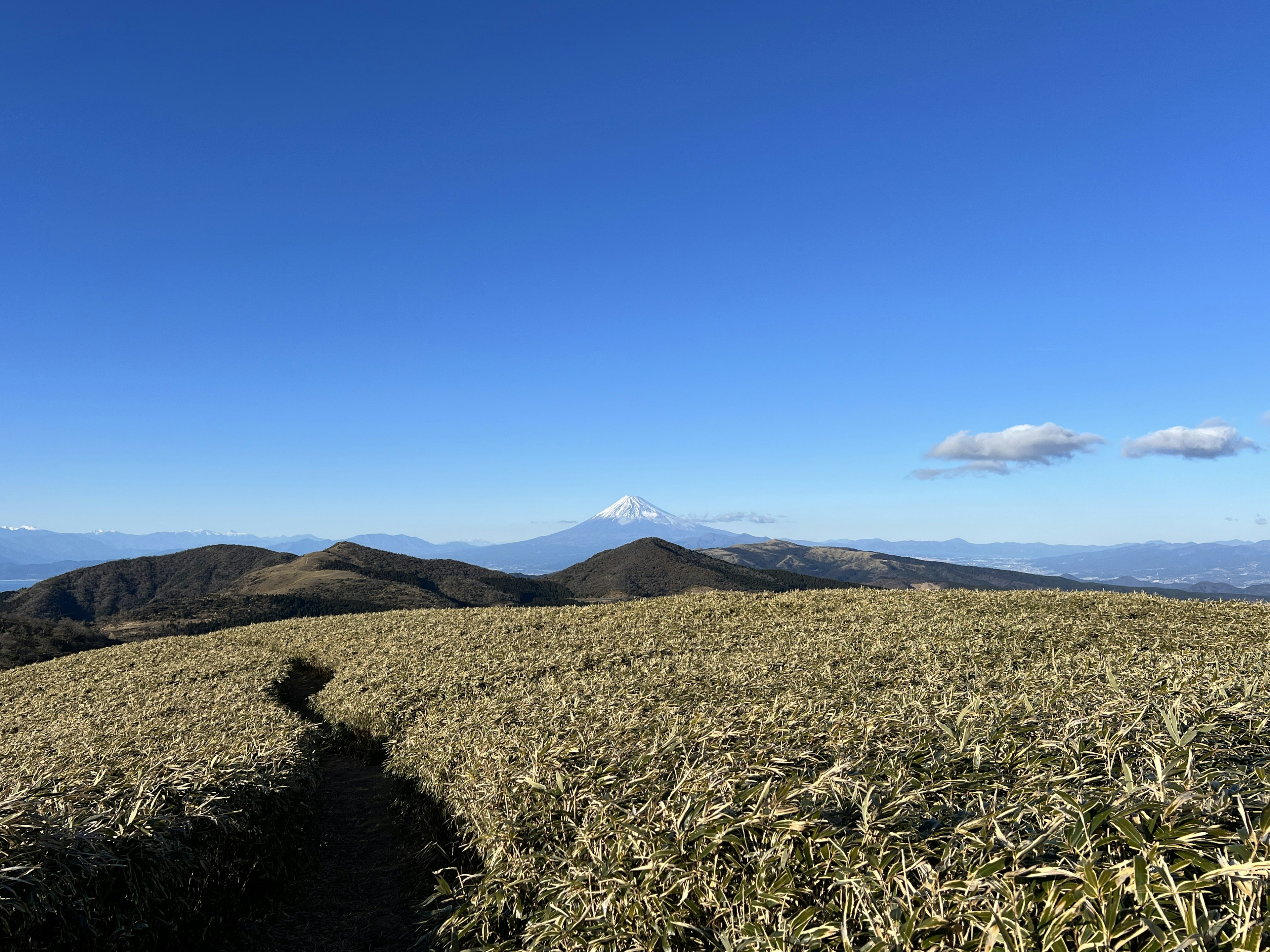 青空と山々に囲まれた広大な草原の風景