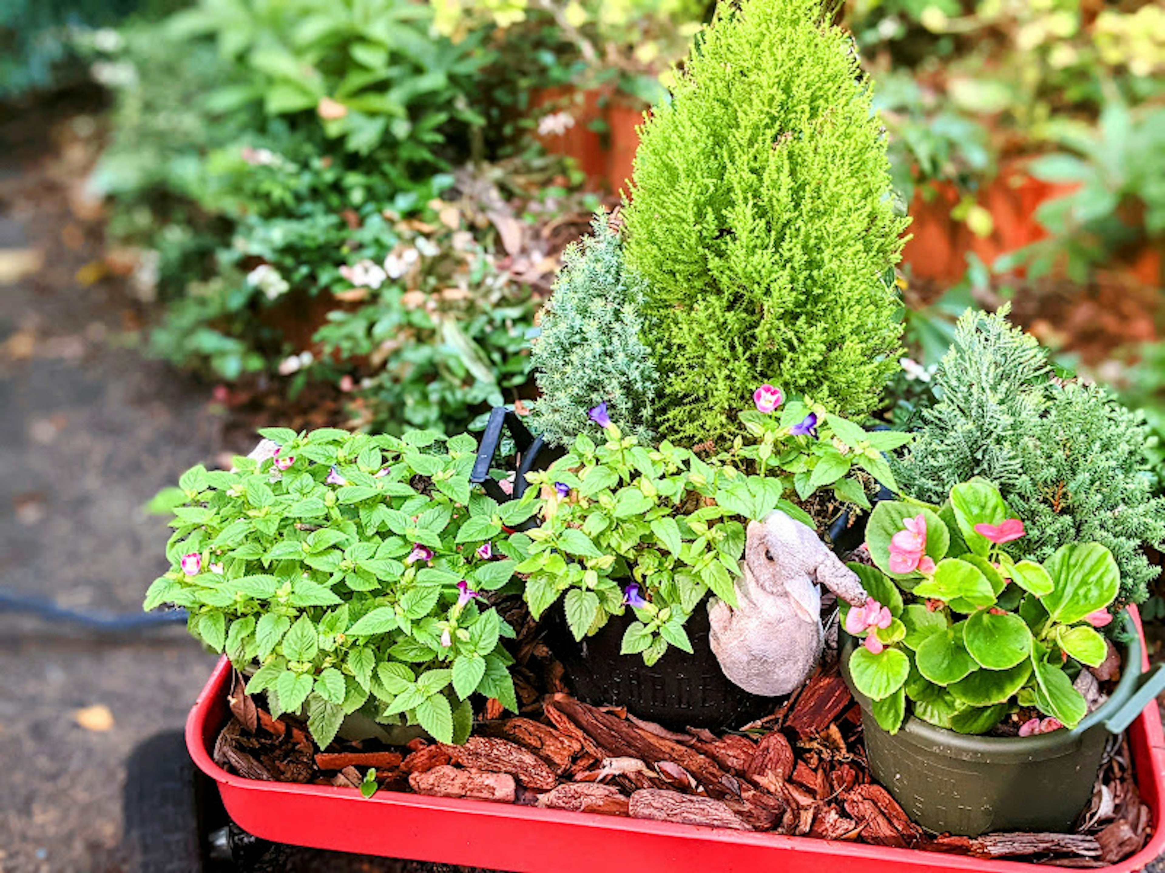 A vibrant red planter filled with various plants and greenery