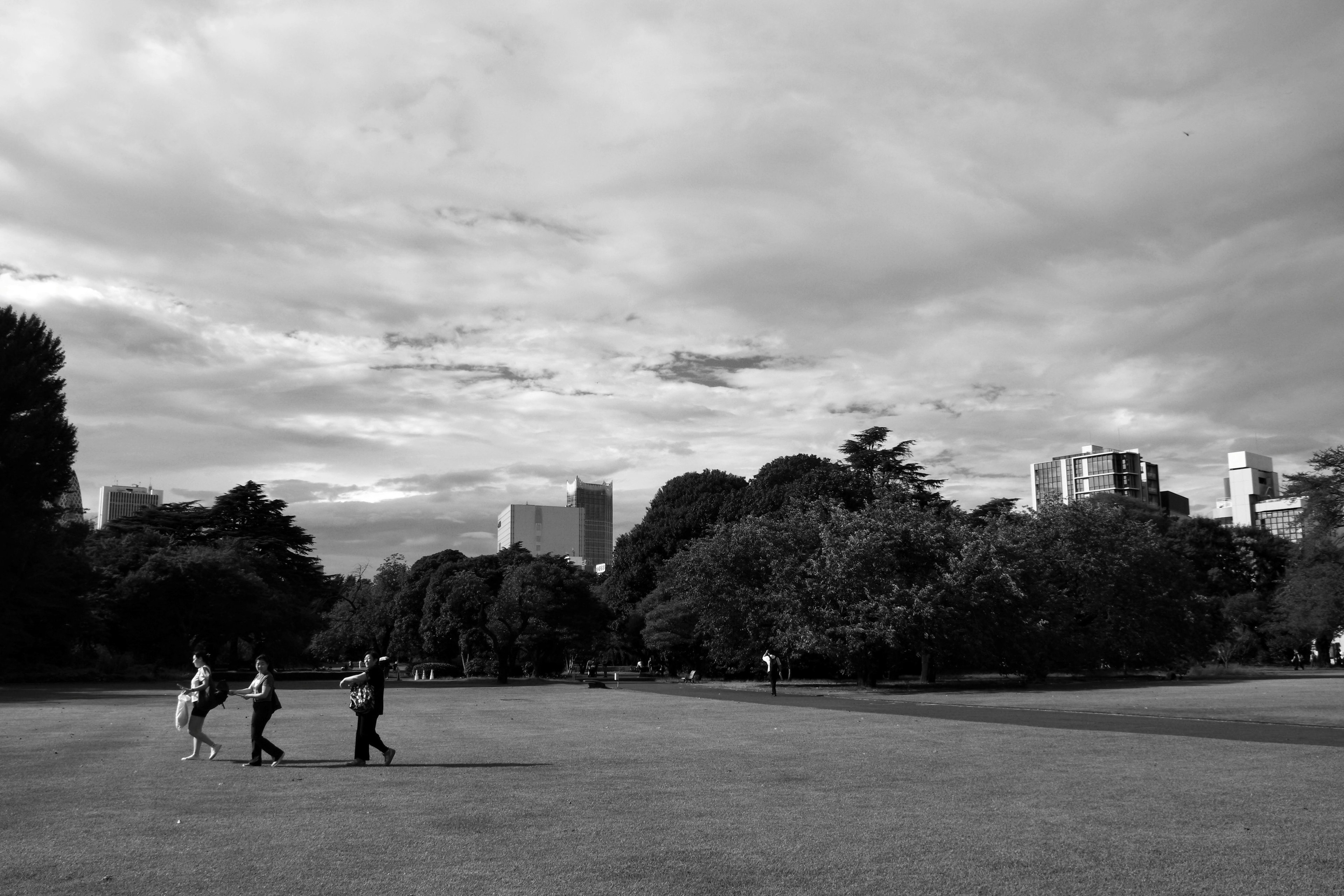 Black and white scene of people running in a park with urban skyline in the background