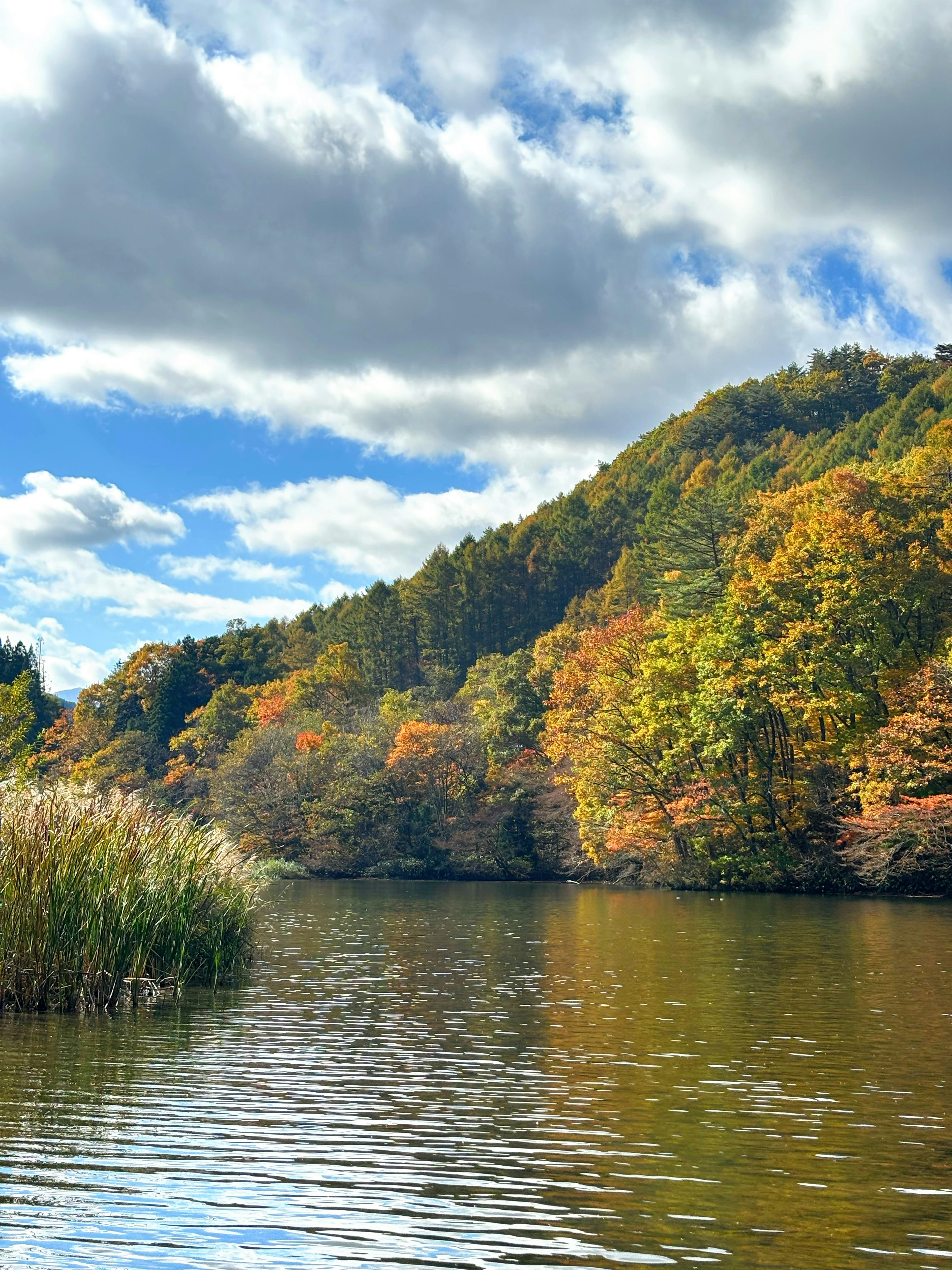 Malersiche Ansicht eines ruhigen Sees umgeben von Bäumen in Herbstfarben