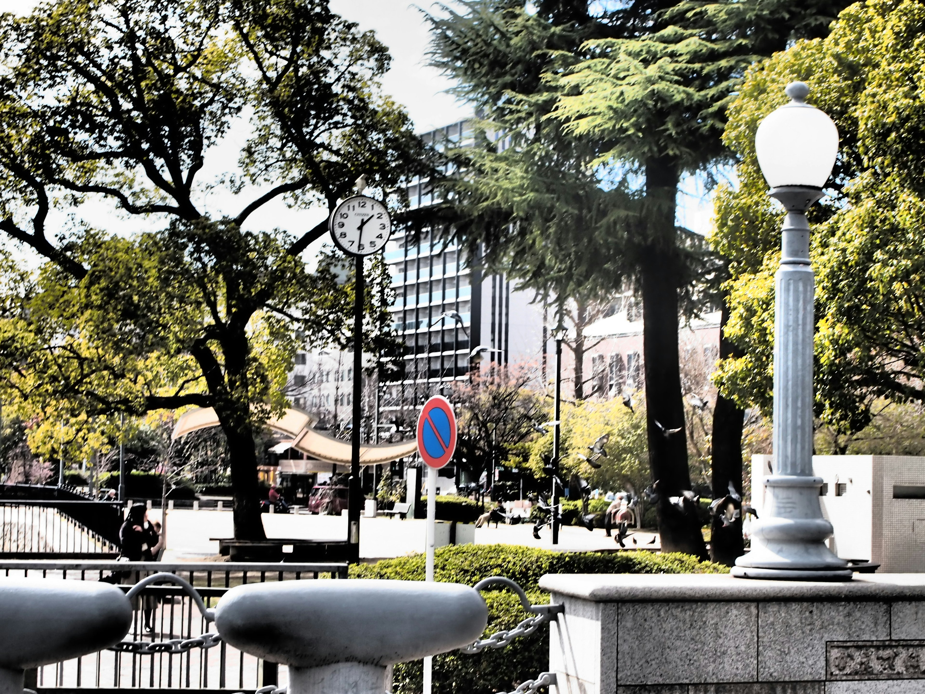 Parkszene mit einer Straßenlaterne und einer Uhr umgeben von Bäumen und Gebäuden